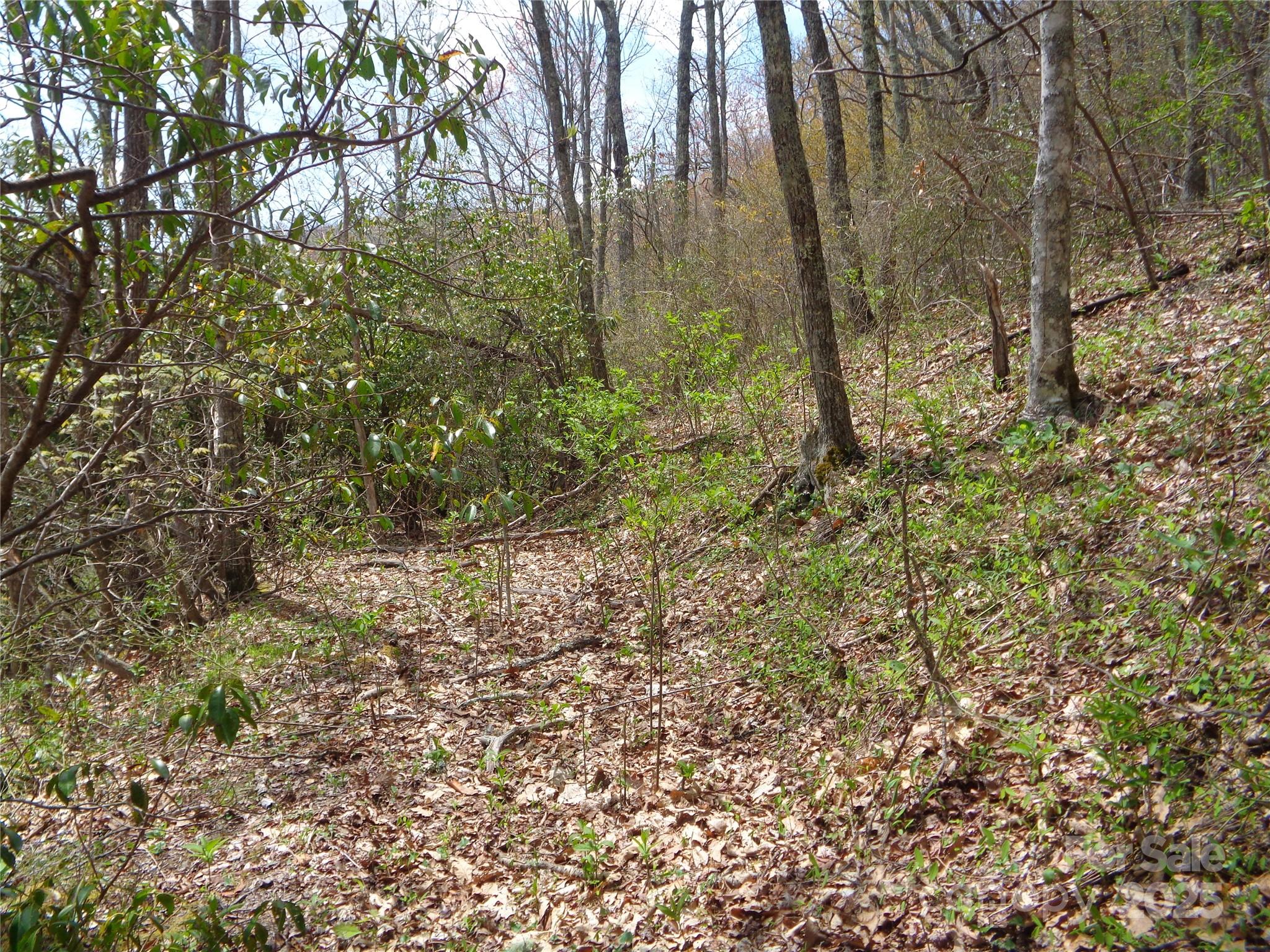 00 Bent Tree Road Property Photo 13