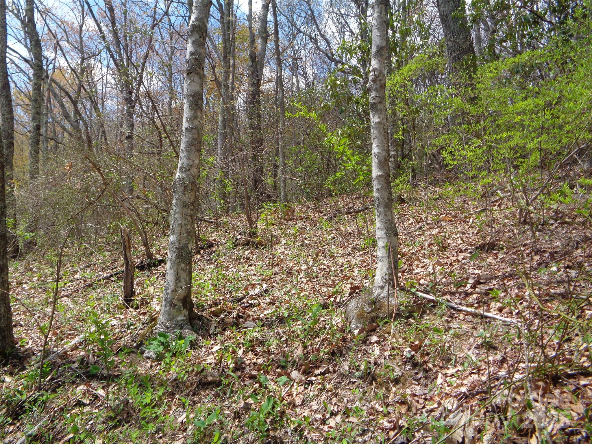 00 Bent Tree Road Property Photo 14