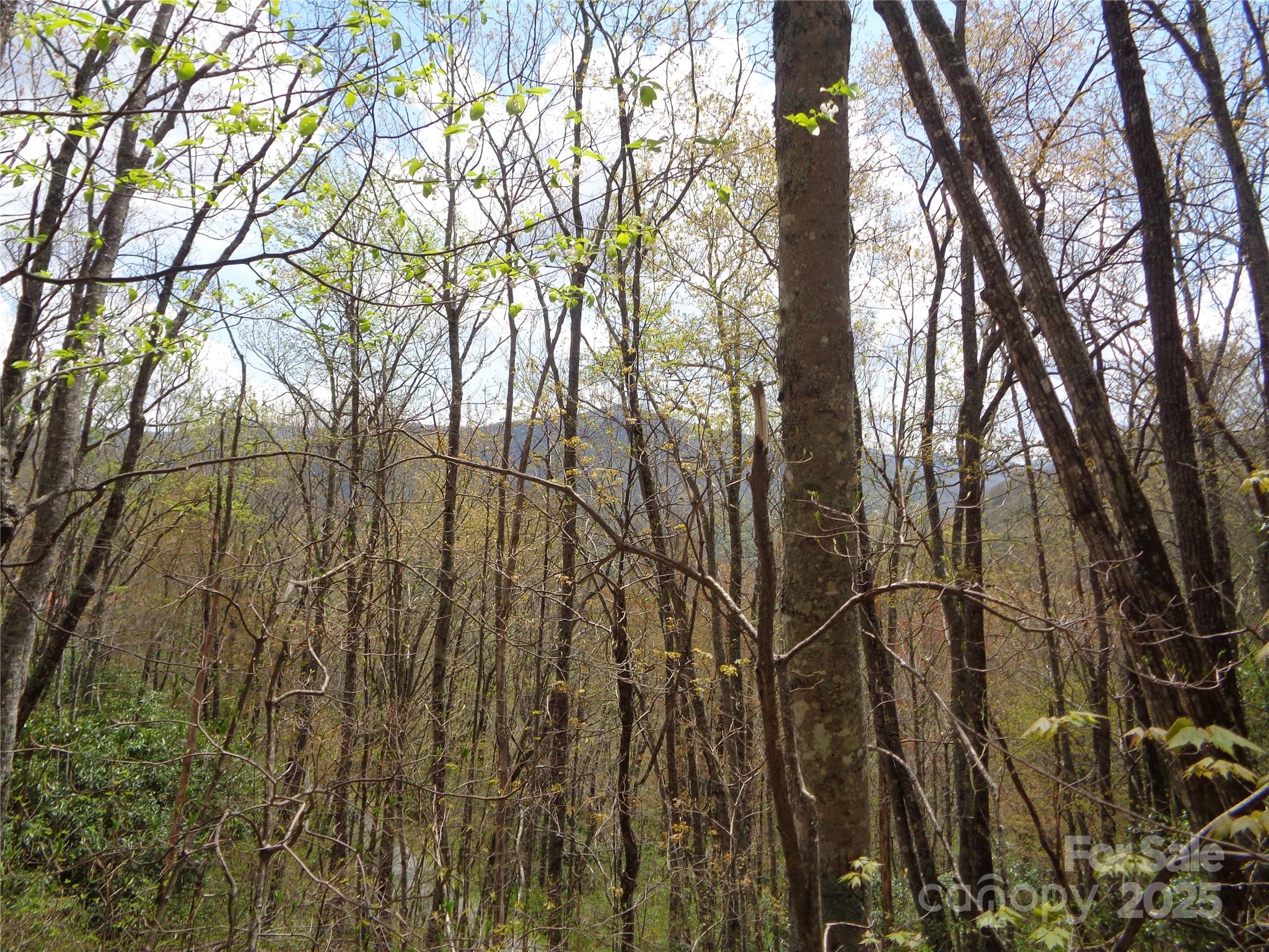 00 Bent Tree Road Property Photo 15