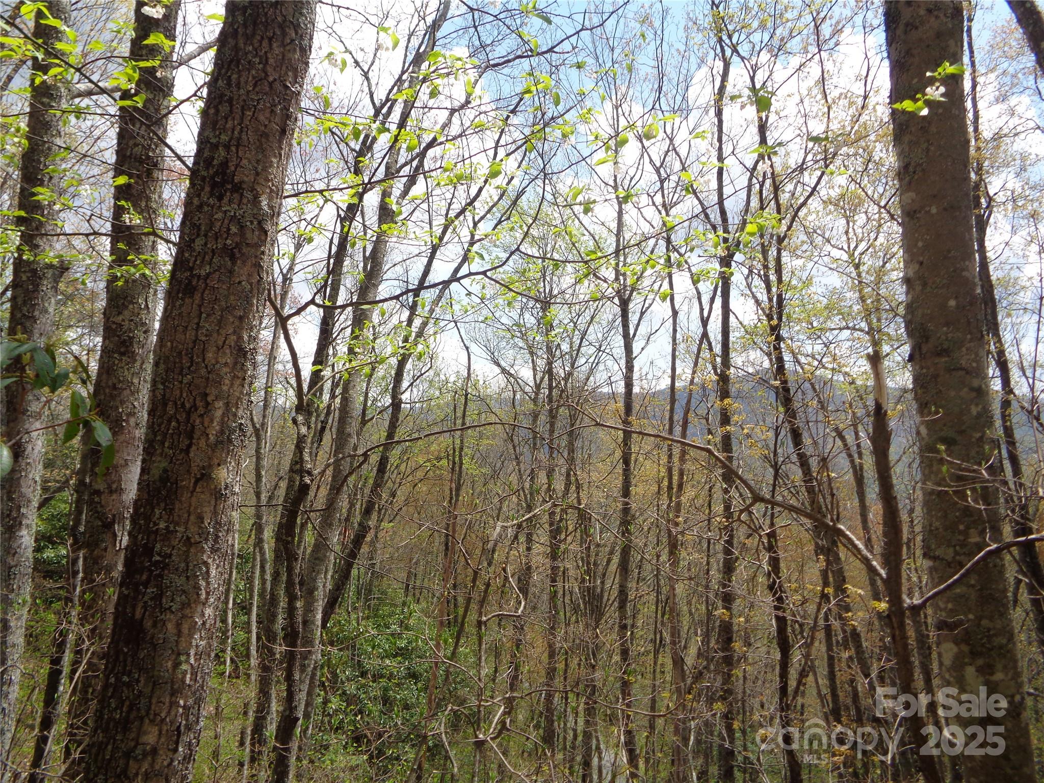 00 Bent Tree Road Property Photo 16