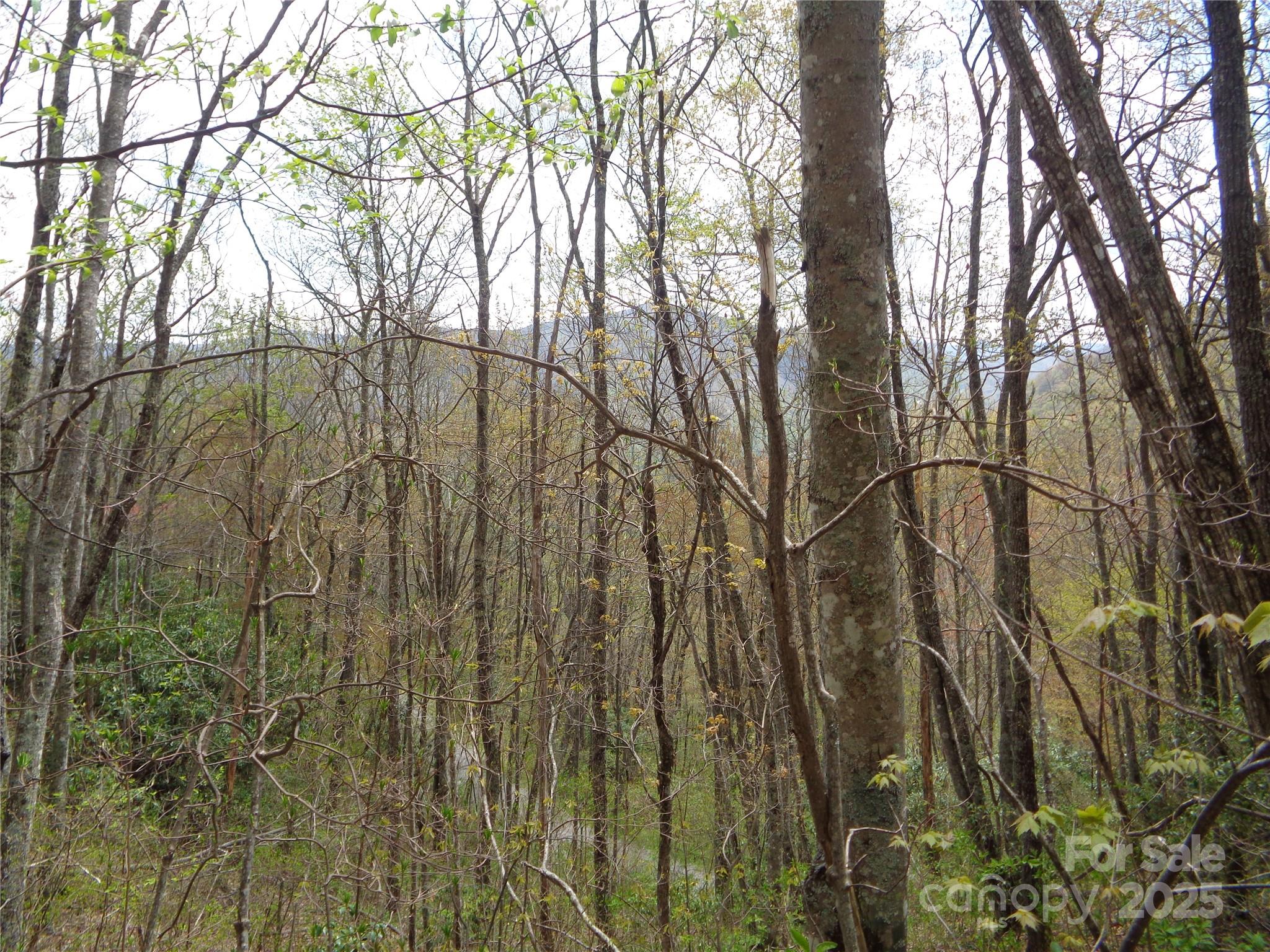 00 Bent Tree Road Property Photo 18