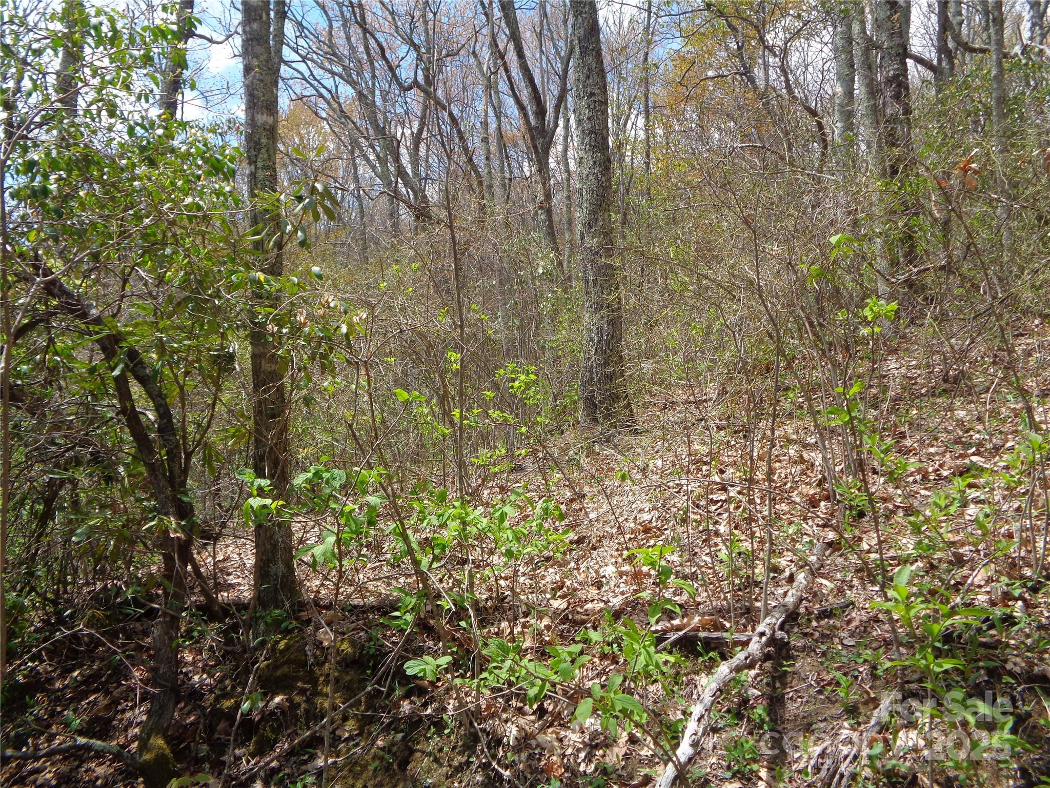 00 Bent Tree Road Property Photo 19