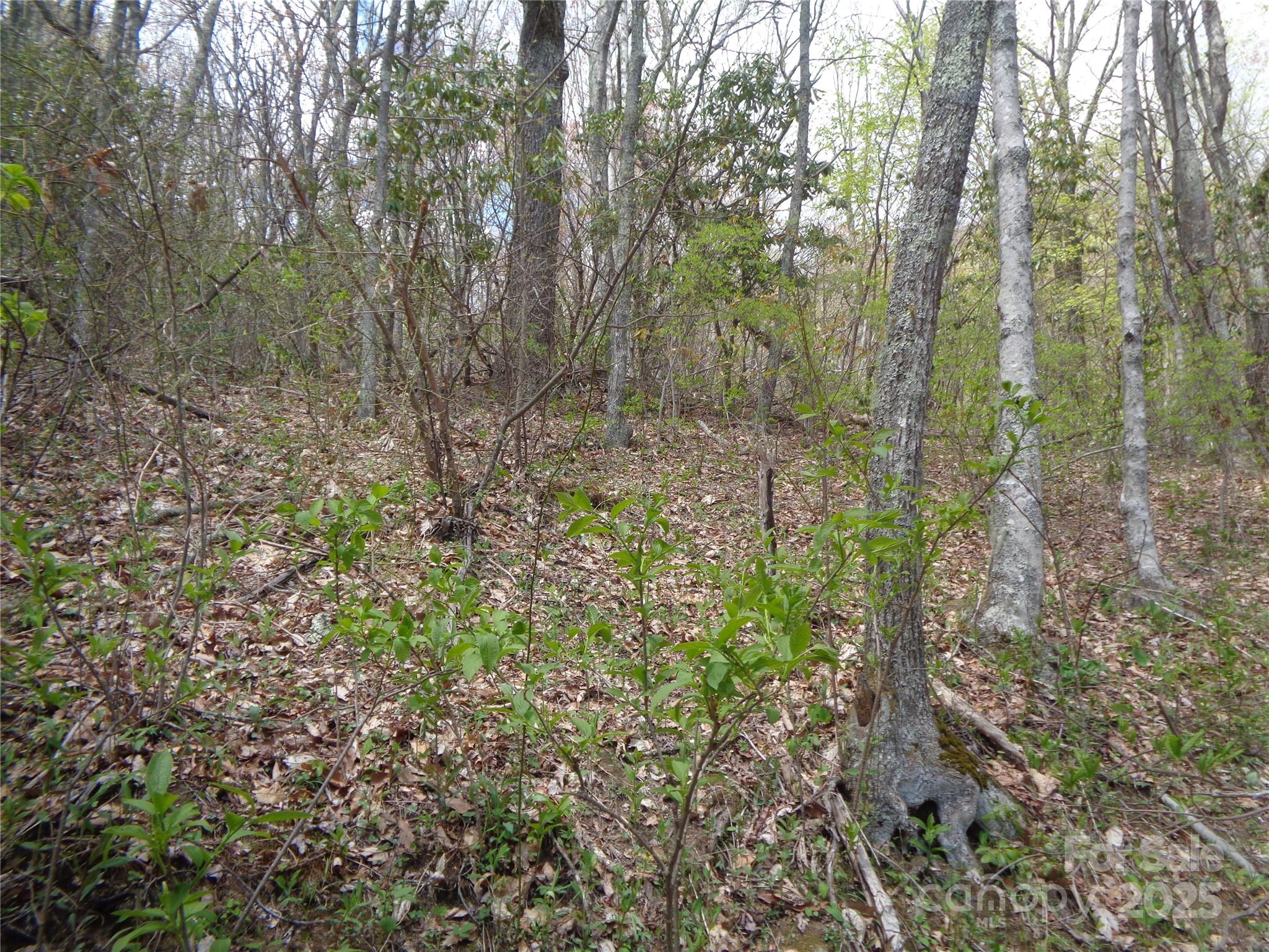 00 Bent Tree Road Property Photo 20