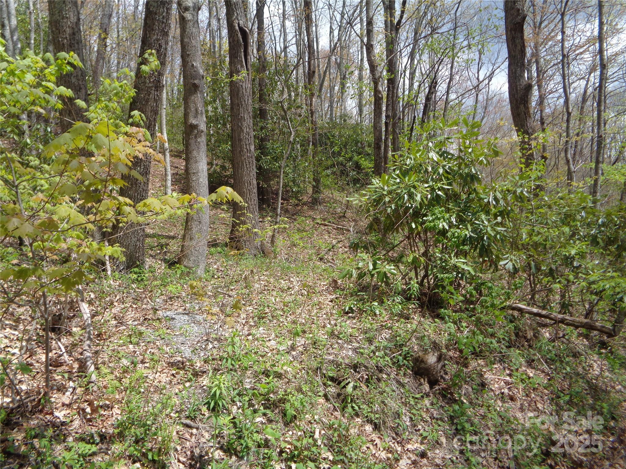 00 Bent Tree Road Property Photo 22