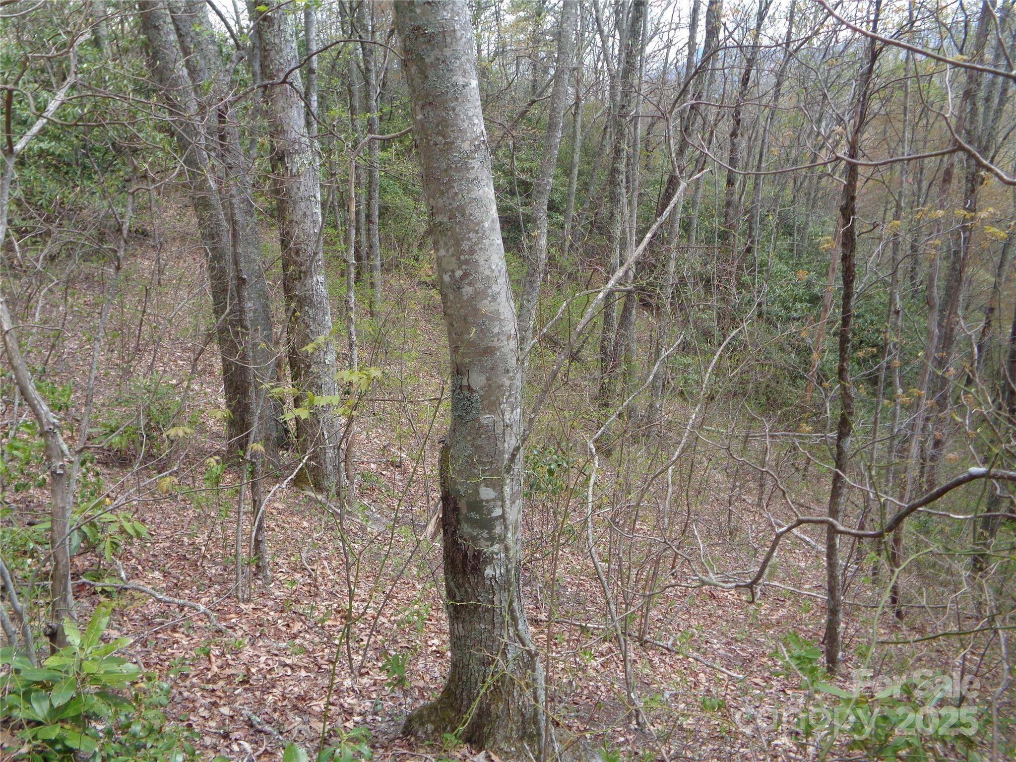 00 Bent Tree Road Property Photo 23