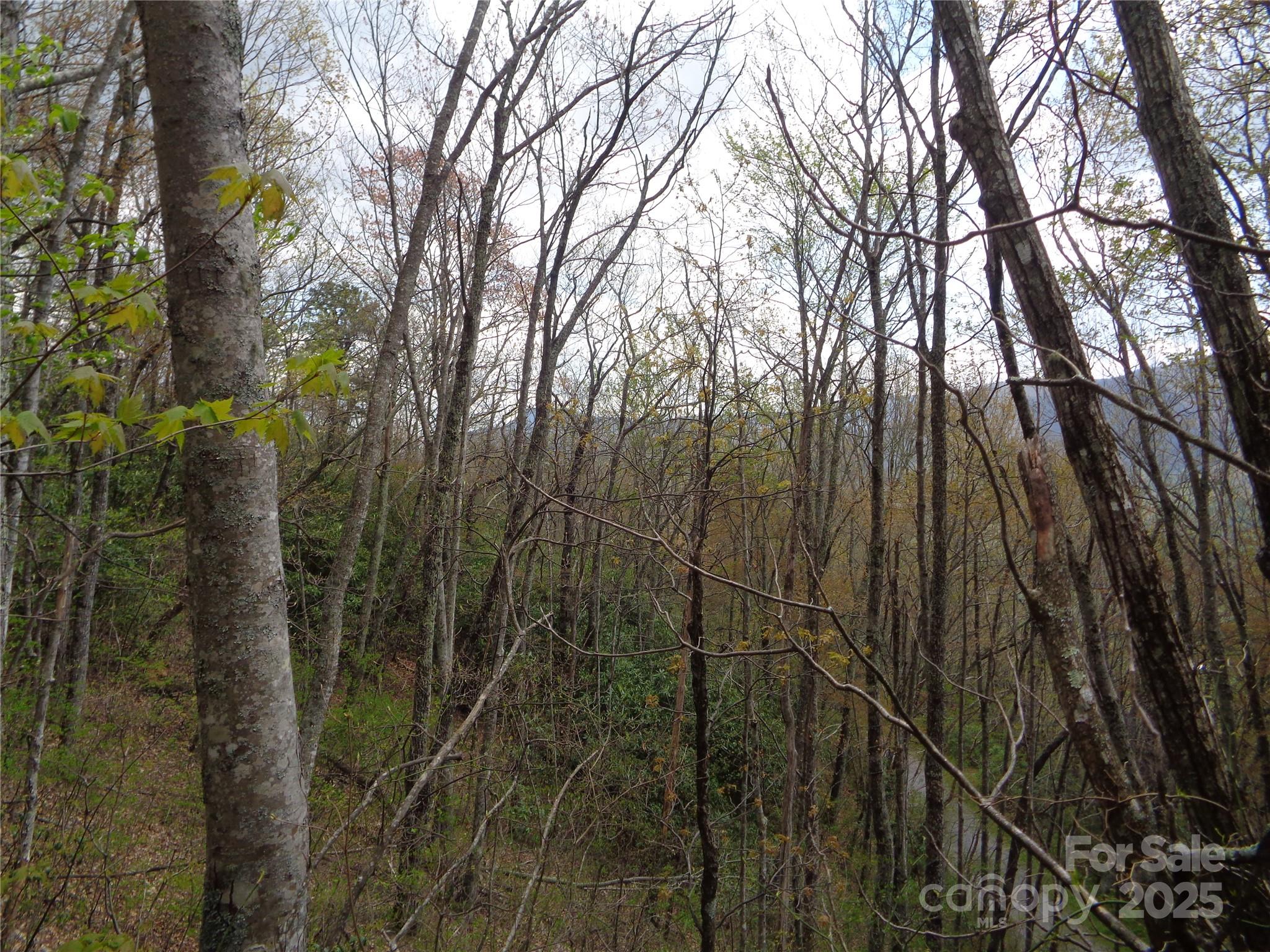 00 Bent Tree Road Property Photo 24