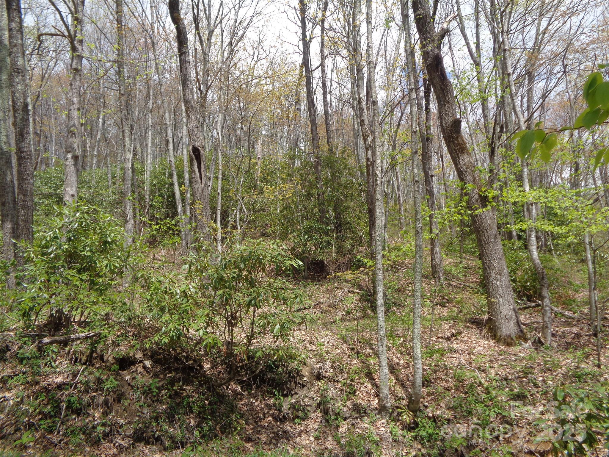 00 Bent Tree Road Property Photo 25