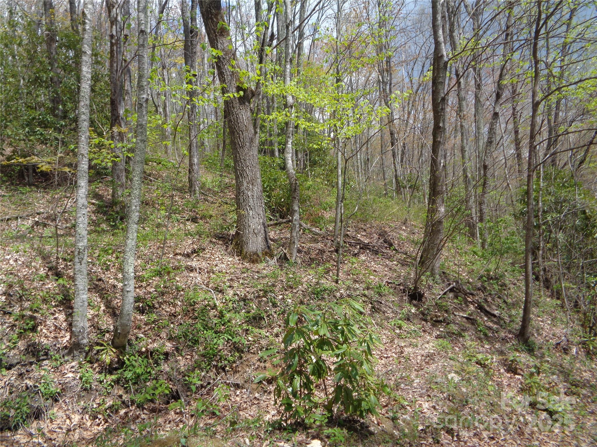00 Bent Tree Road Property Photo 26