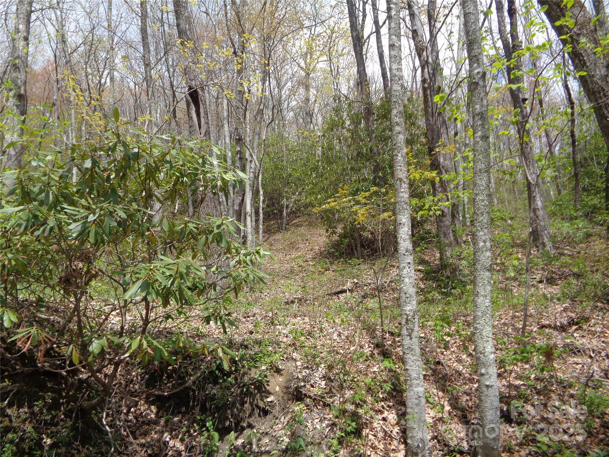 00 Bent Tree Road Property Photo 27