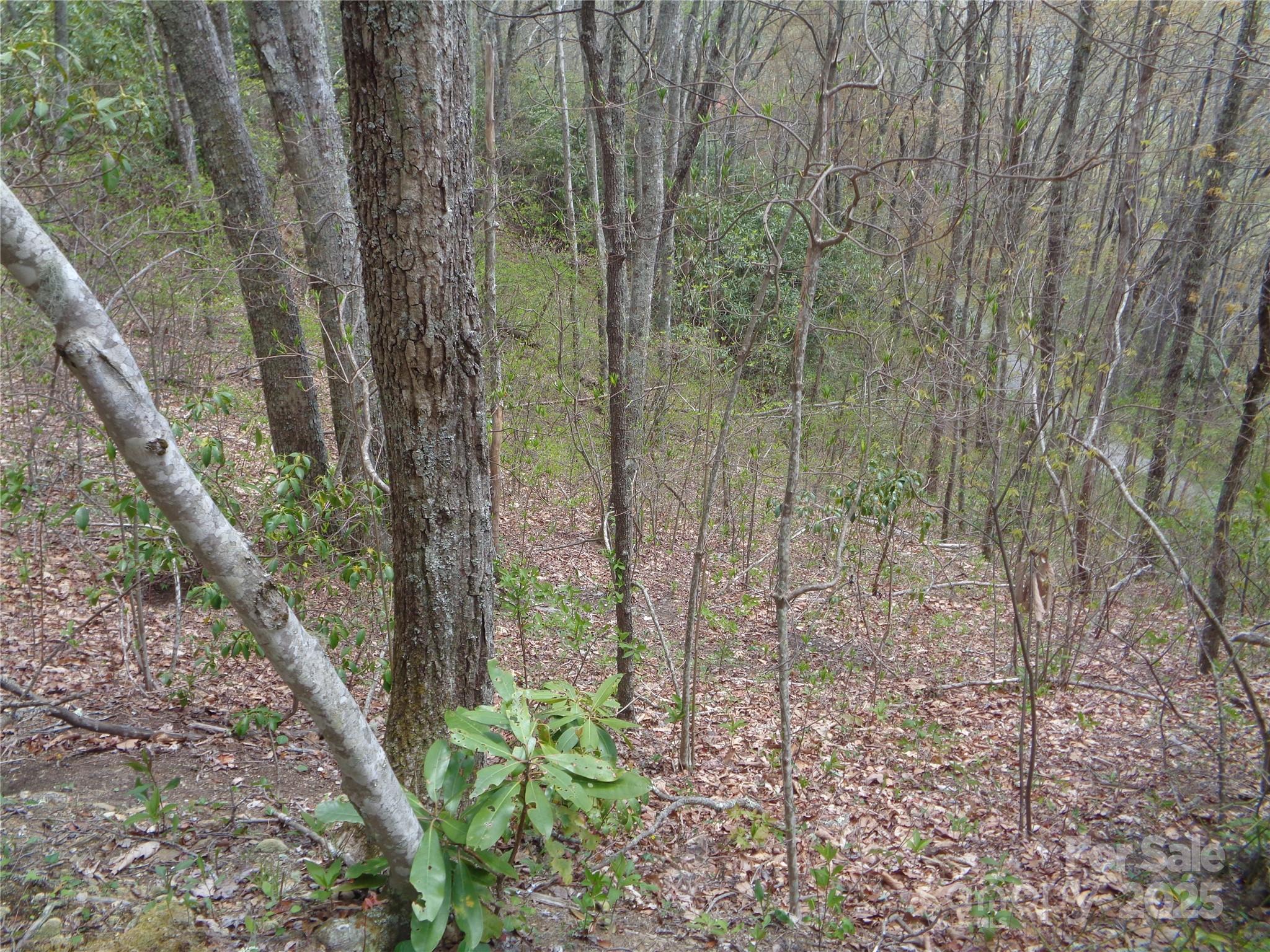 00 Bent Tree Road Property Photo 28