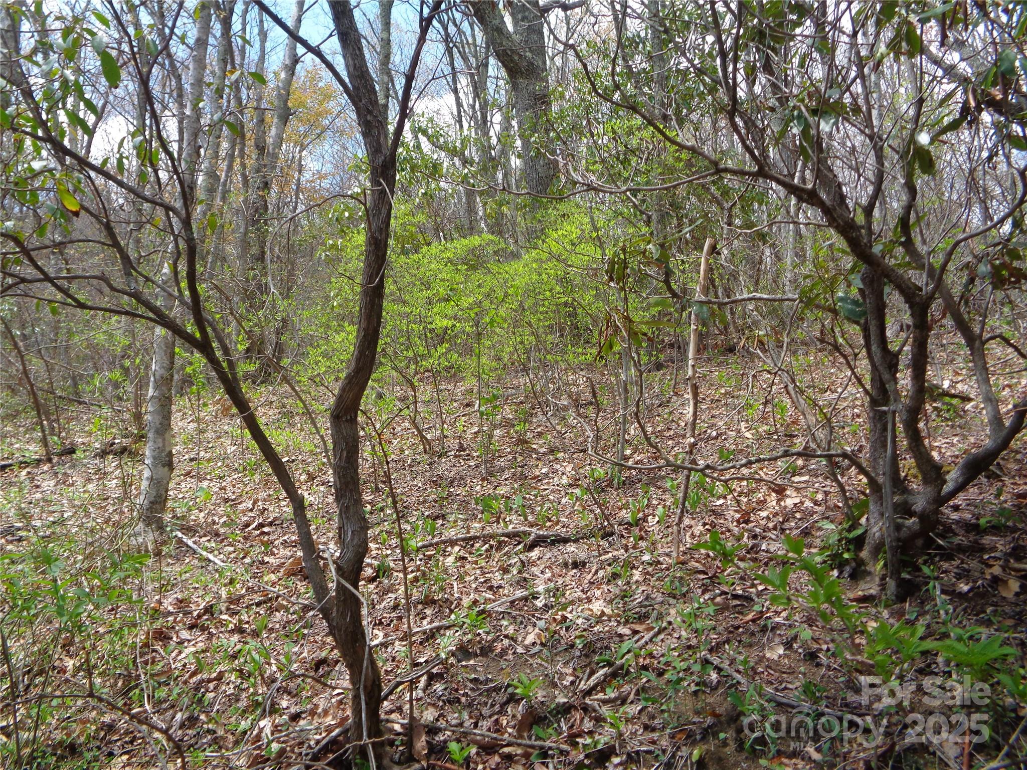 00 Bent Tree Road Property Photo 29