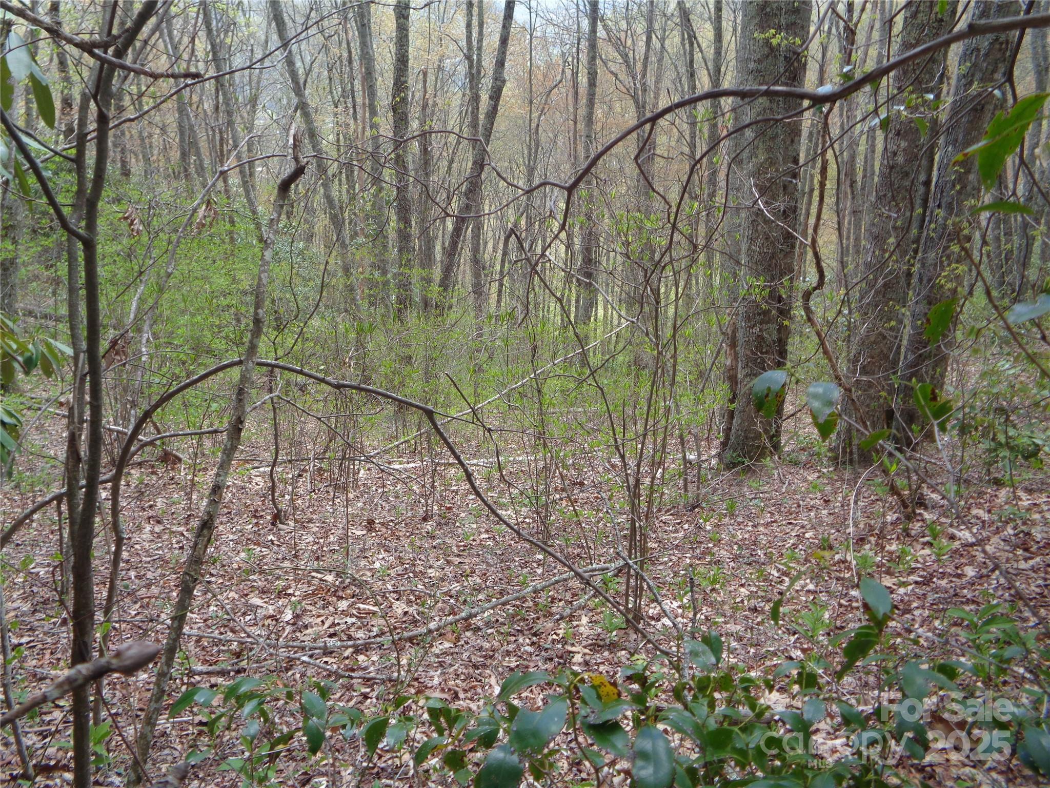 00 Bent Tree Road Property Photo 30