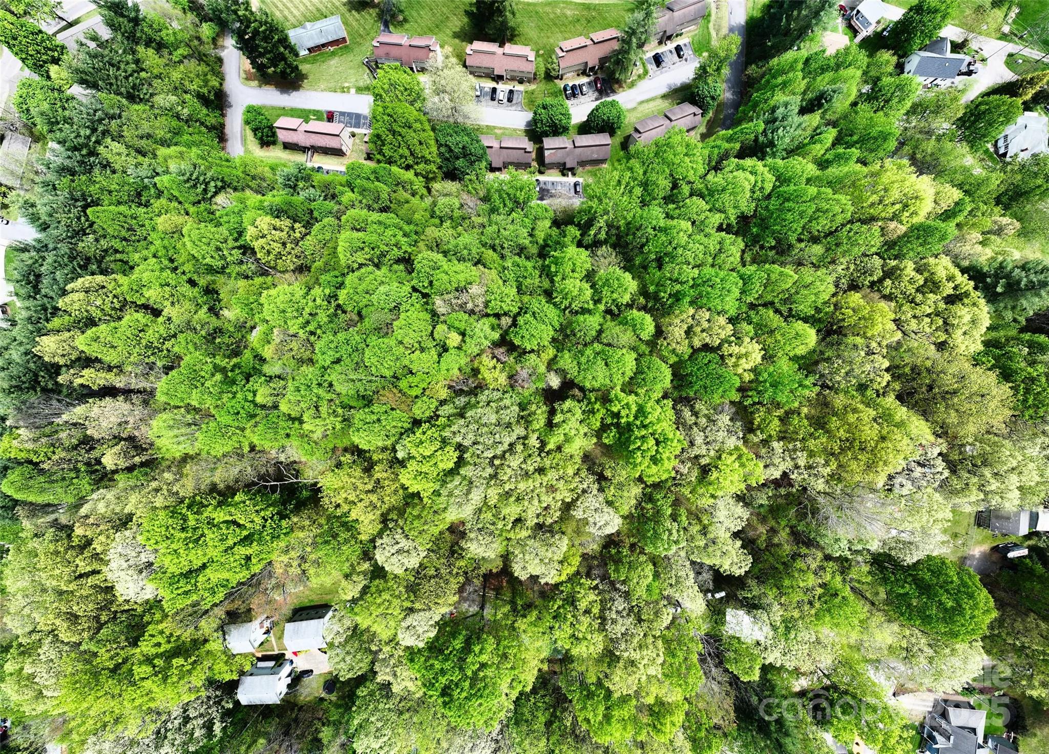 9999 Cavalier Drive Property Photo 19