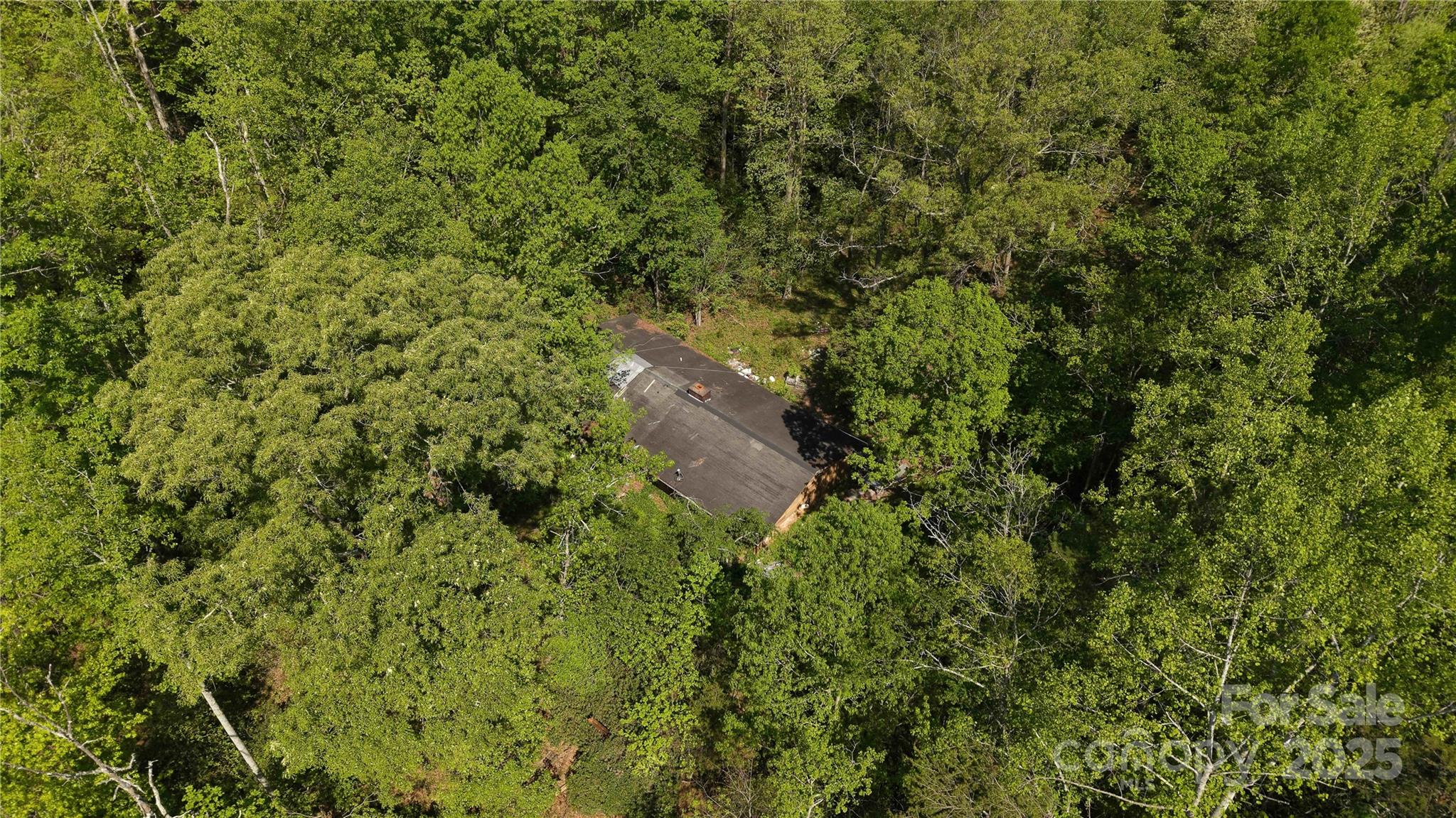 567 Drucilla Church Road Property Photo 2