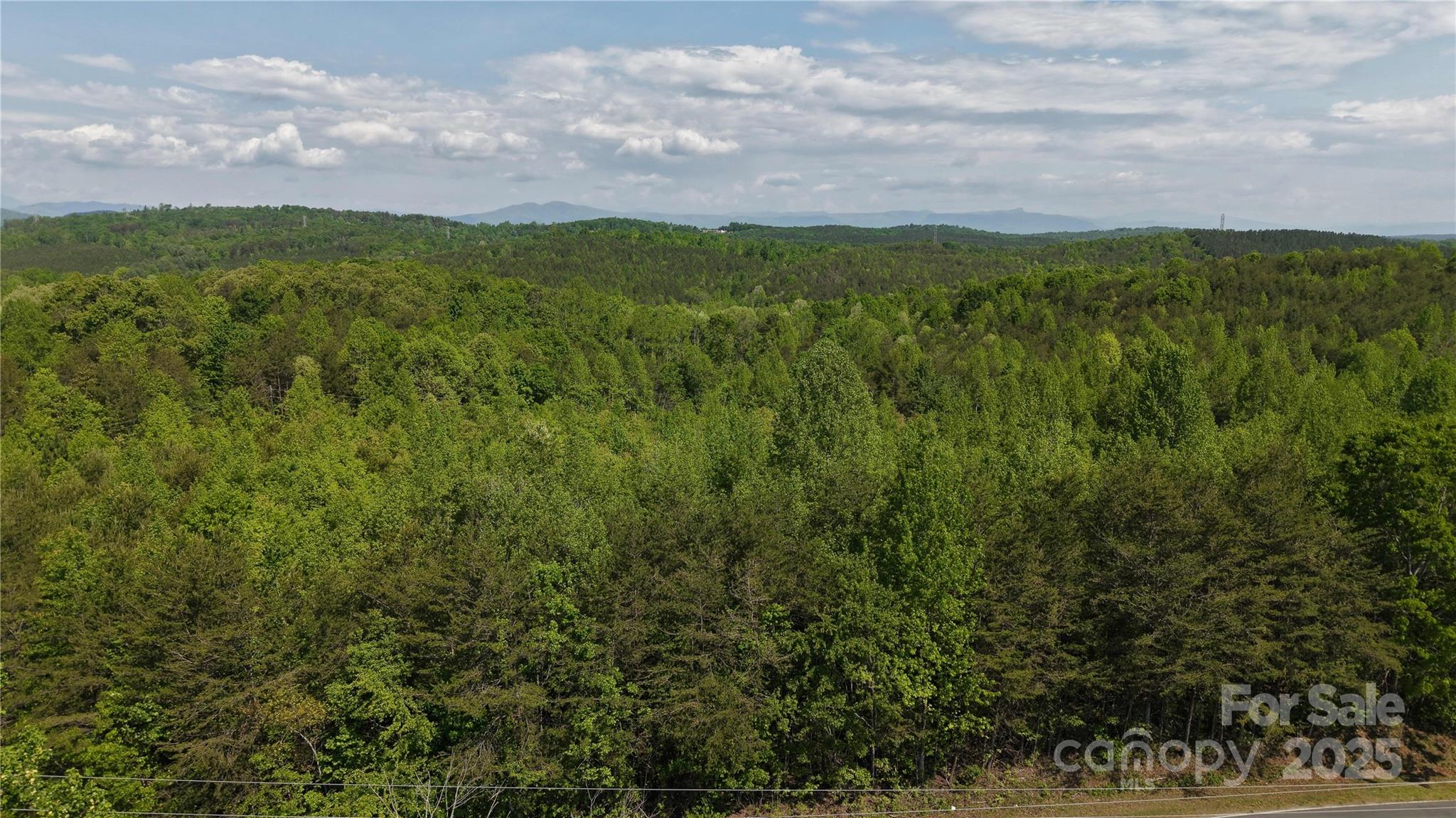 567 Drucilla Church Road Property Photo 3