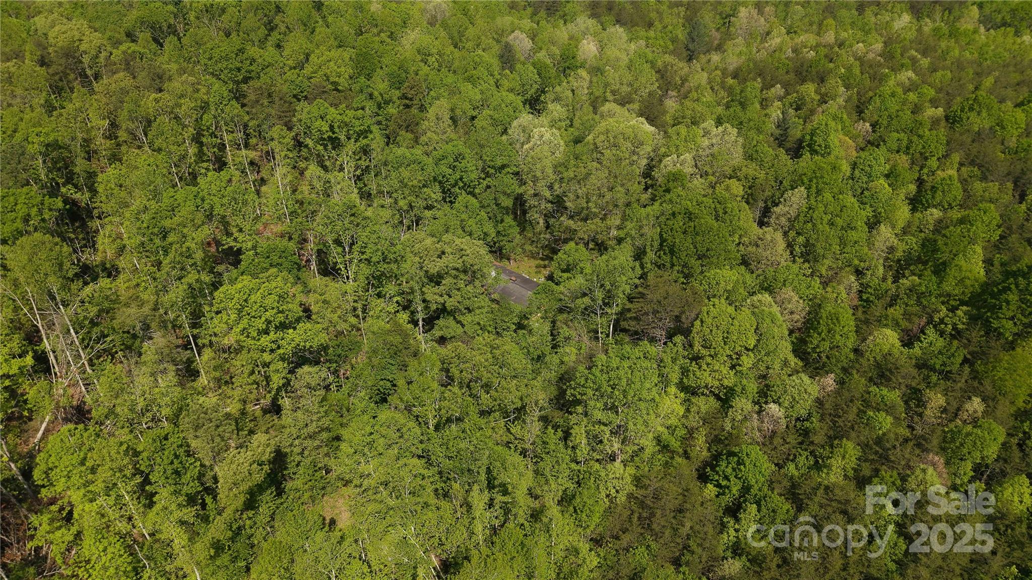 567 Drucilla Church Road Property Photo 4
