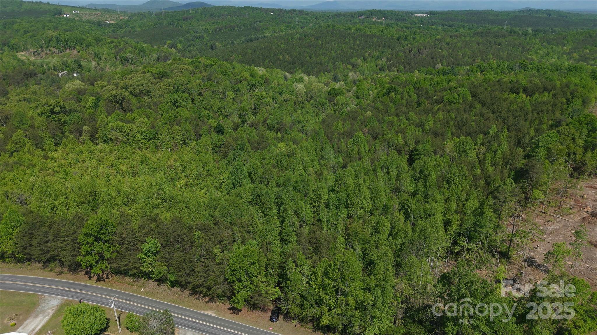 567 Drucilla Church Road Property Photo 5