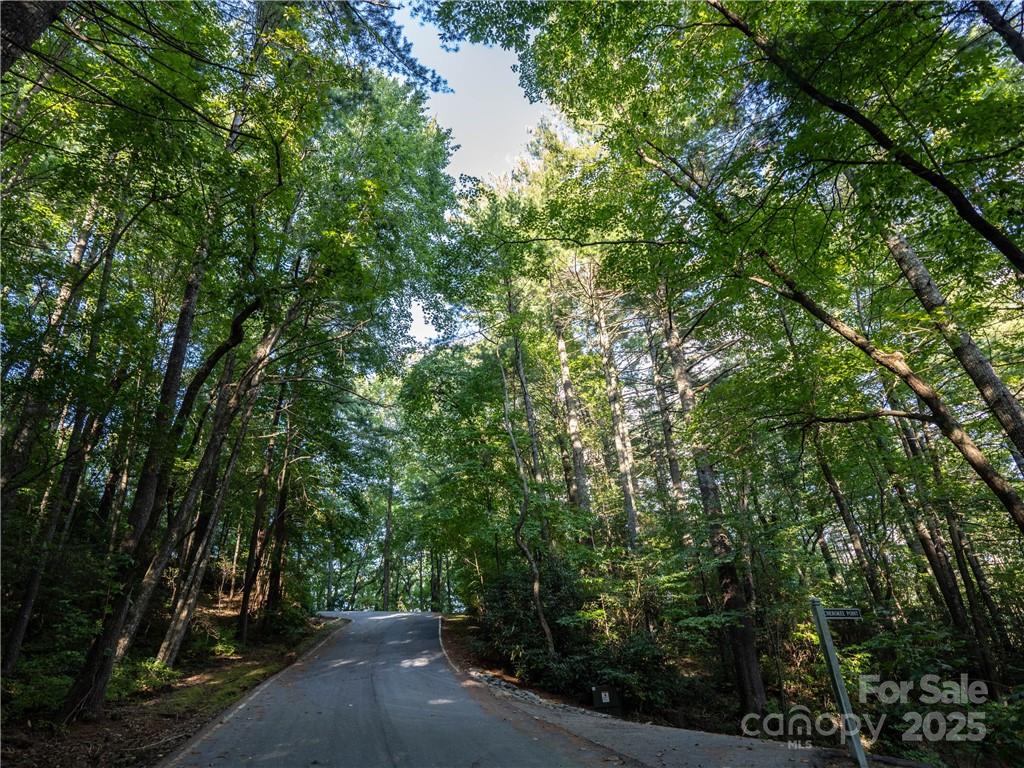 J 29 Cherokee Trace Property Photo 18