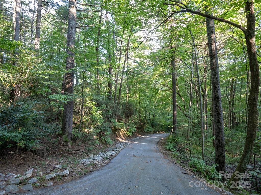 J 29 Cherokee Trace Property Photo 19