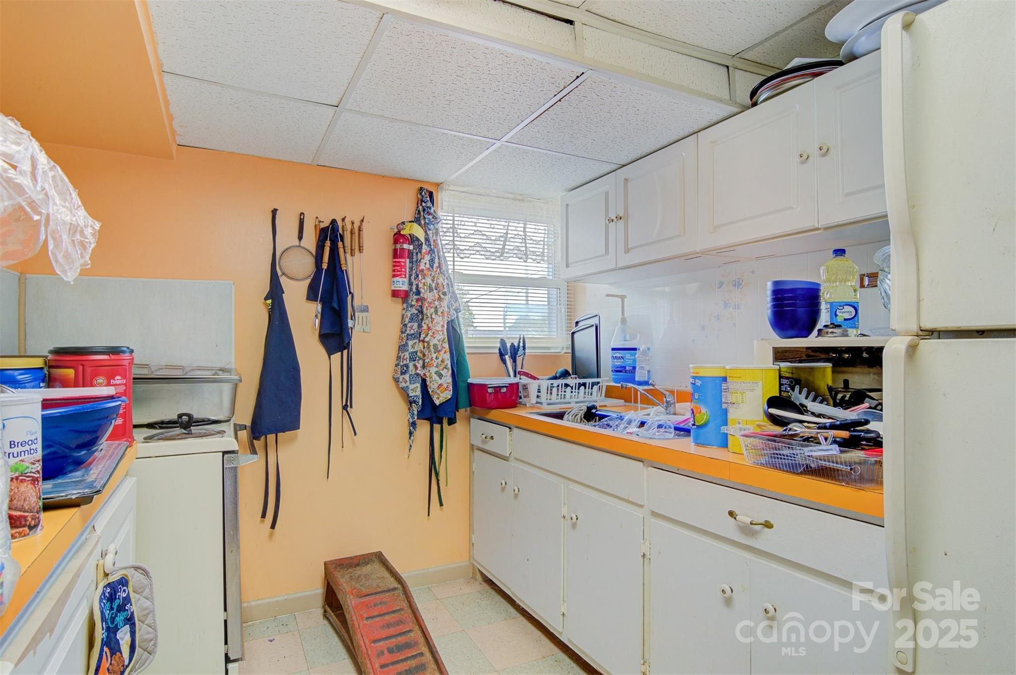 1100 Praley Street Property Photo 29