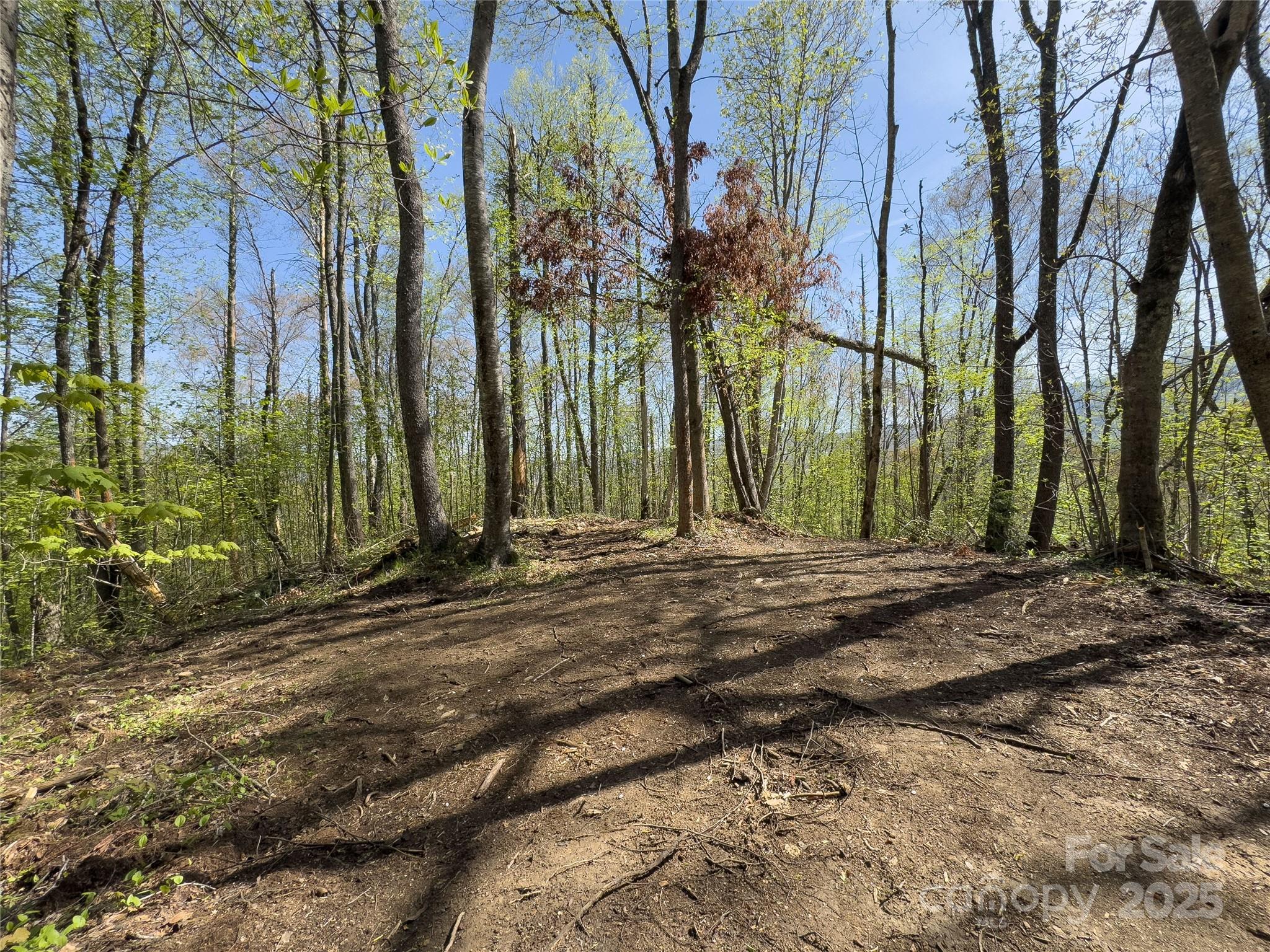Lot 64 Big Springs Trail 64 Property Photo