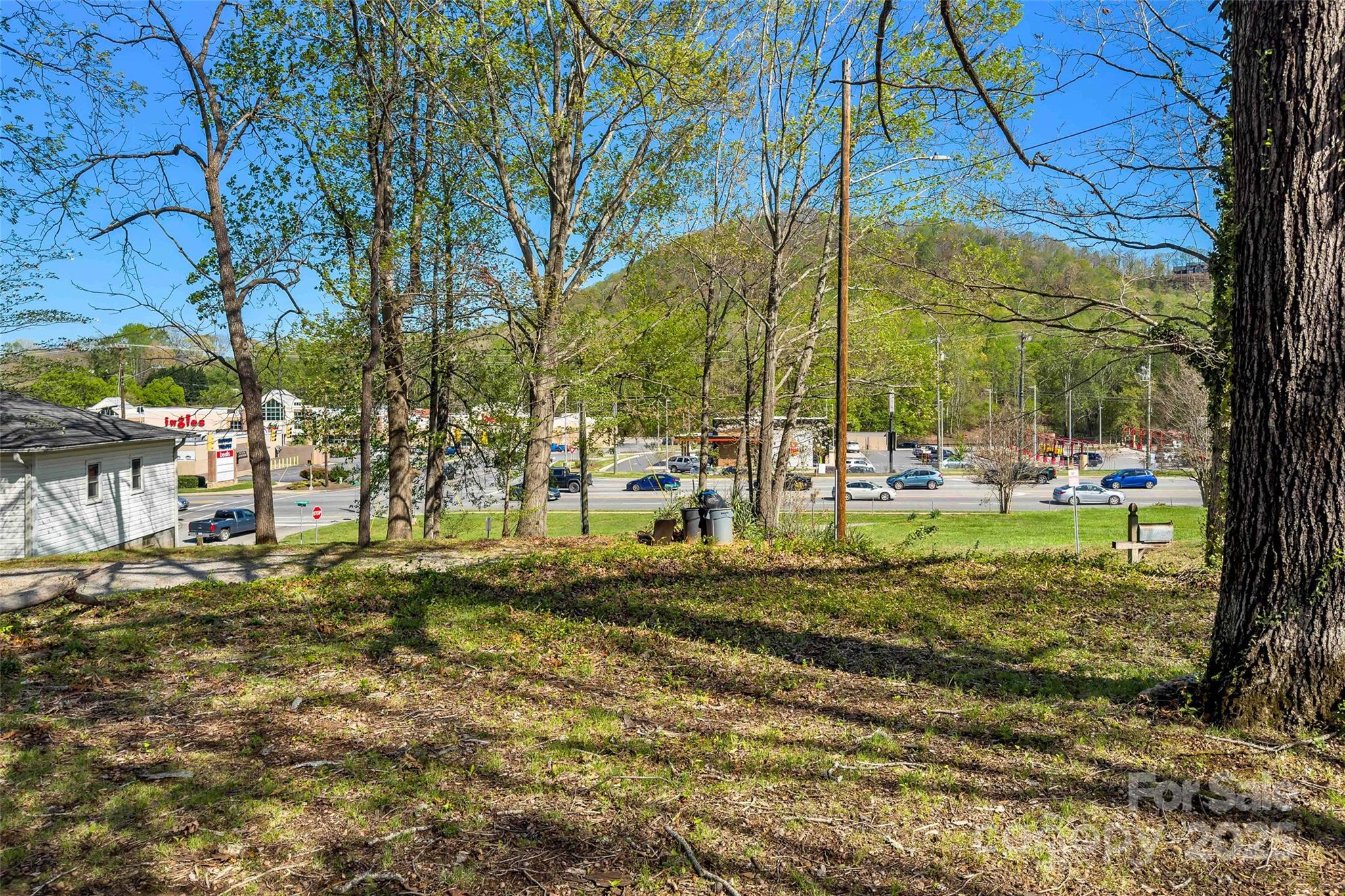 36 & 50 Catawba Avenue Property Photo 10
