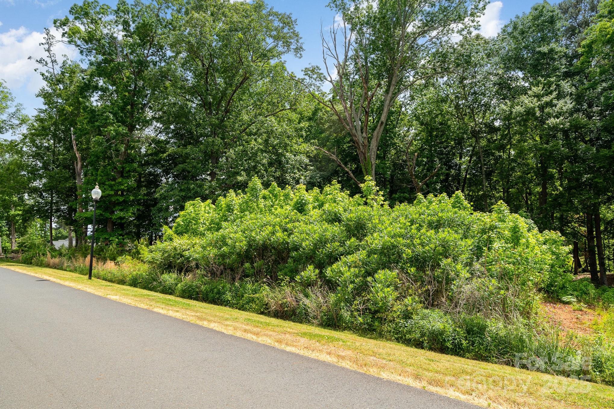 Lot 10 Eagle Pointe Drive Property Photo 7