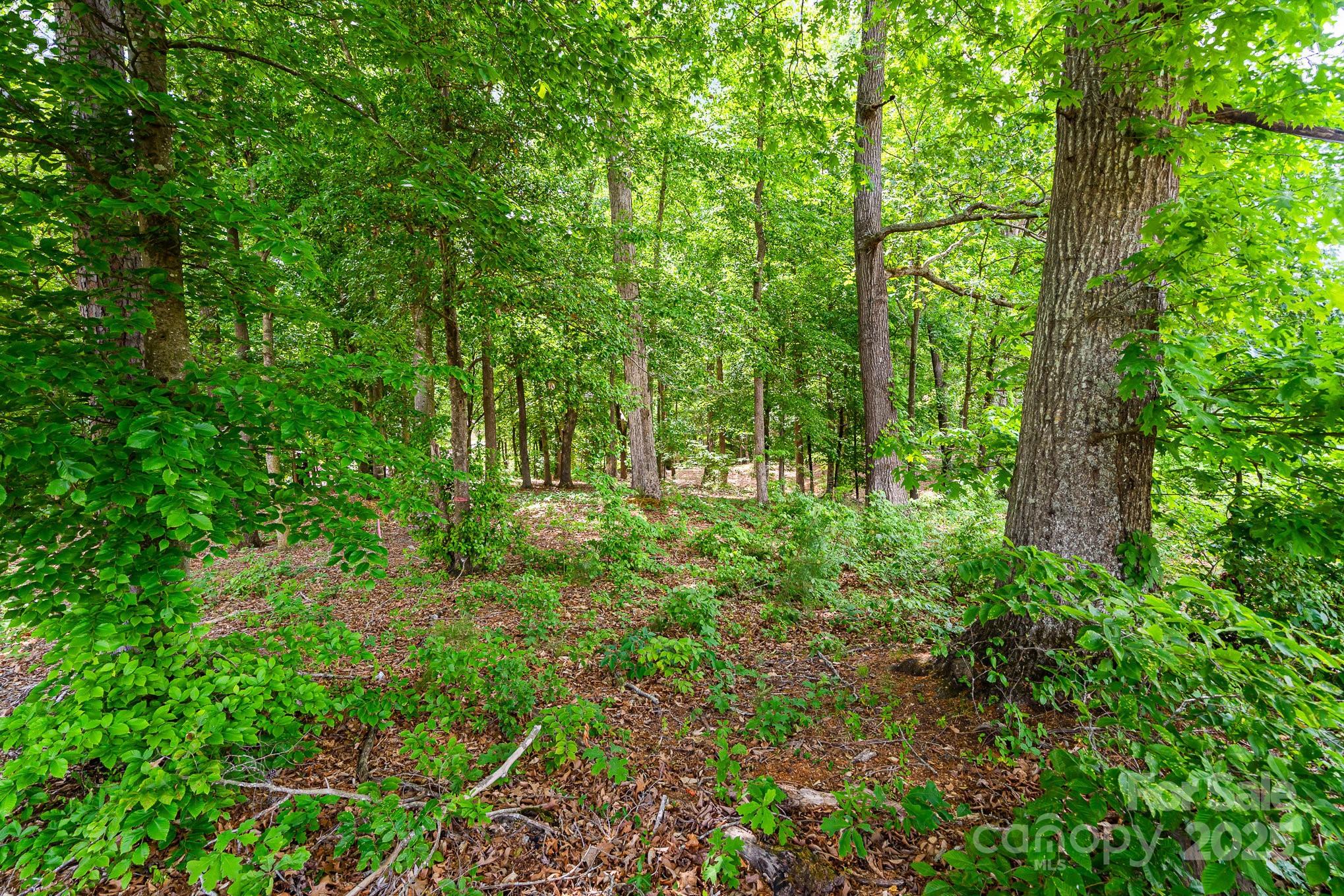 Lot 10 Eagle Pointe Drive Property Photo 9