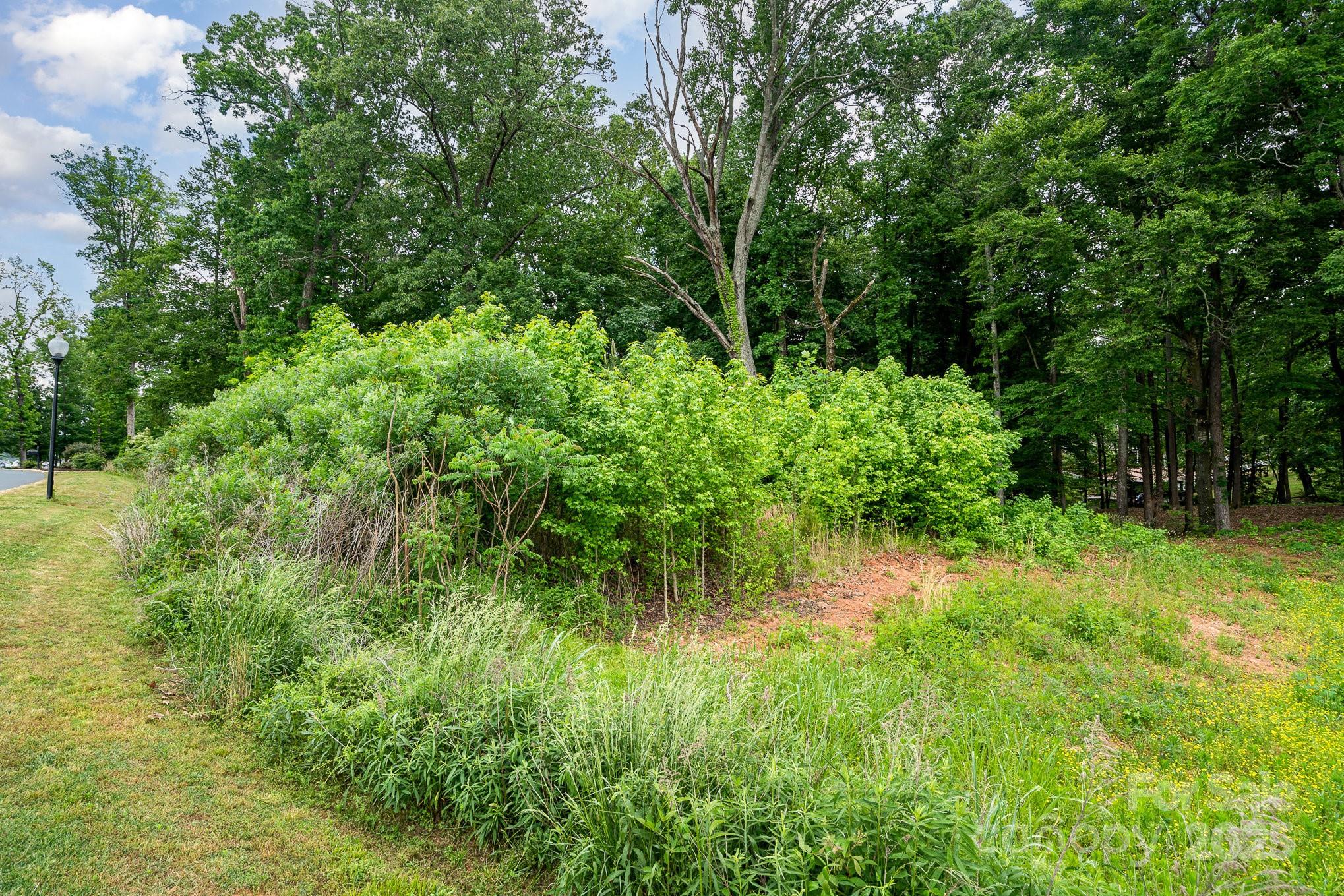 Lot 10 Eagle Pointe Drive Property Photo 10