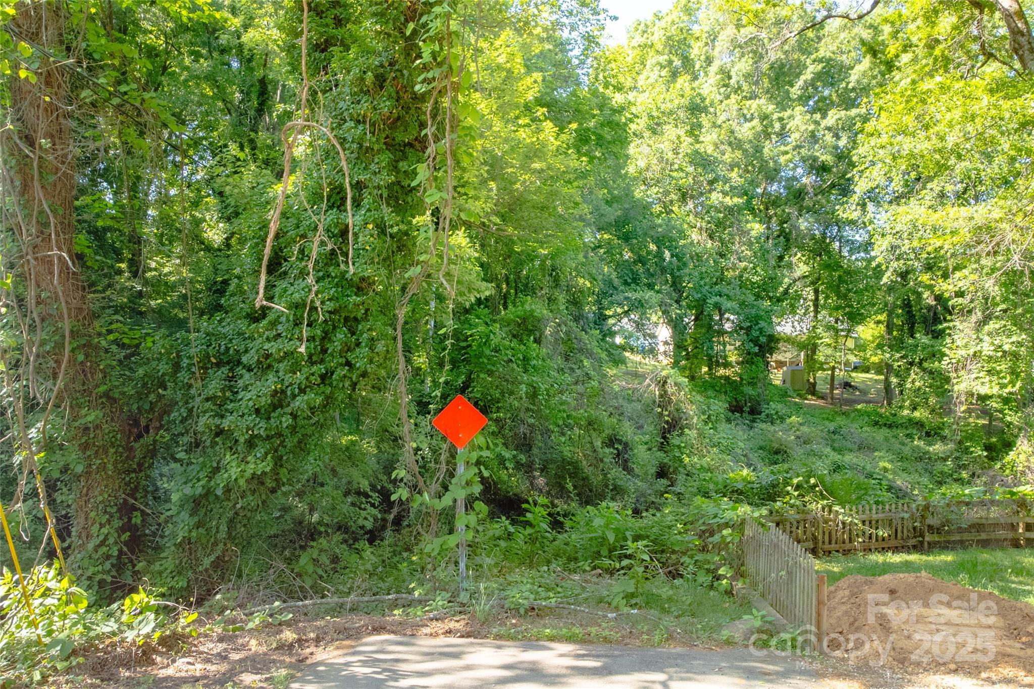166 Elm Street Property Photo 3