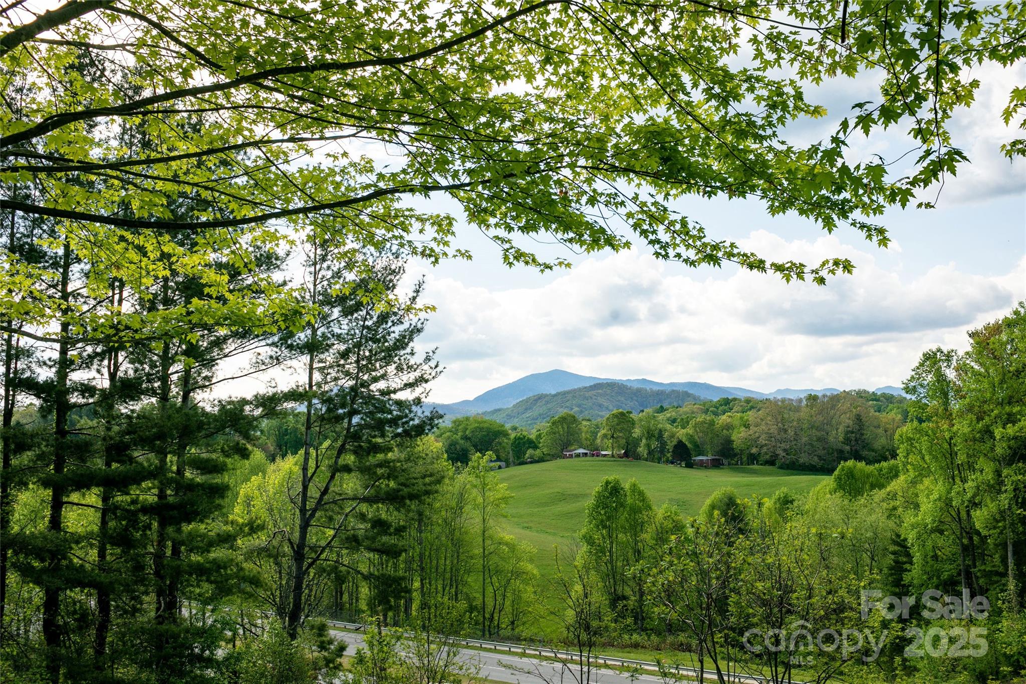 110 Crest View Road Property Photo 45
