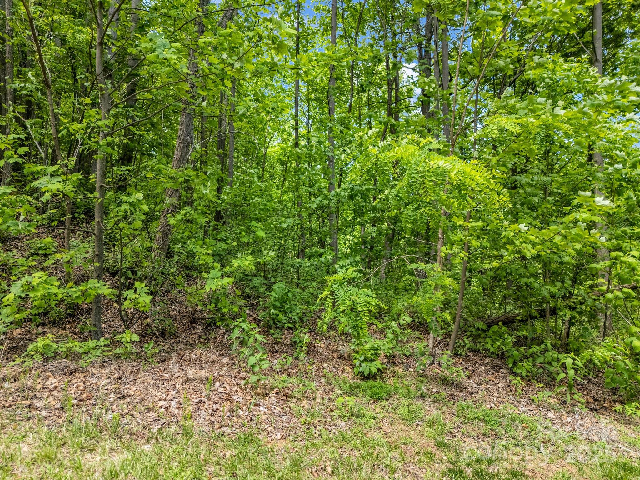 0 Ragans Pointe 31 Property Photo 2