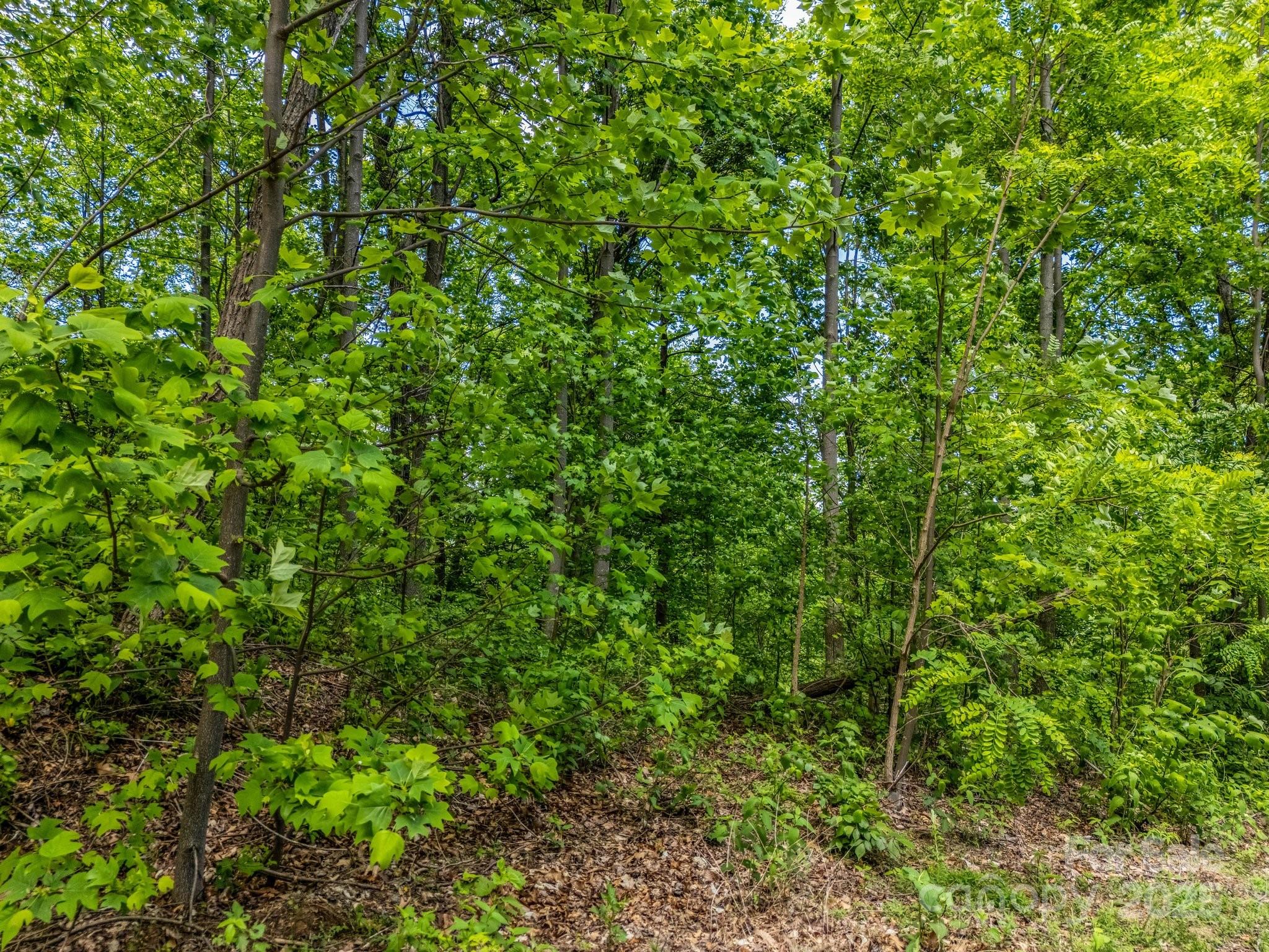 0 Ragans Pointe 31 Property Photo 4