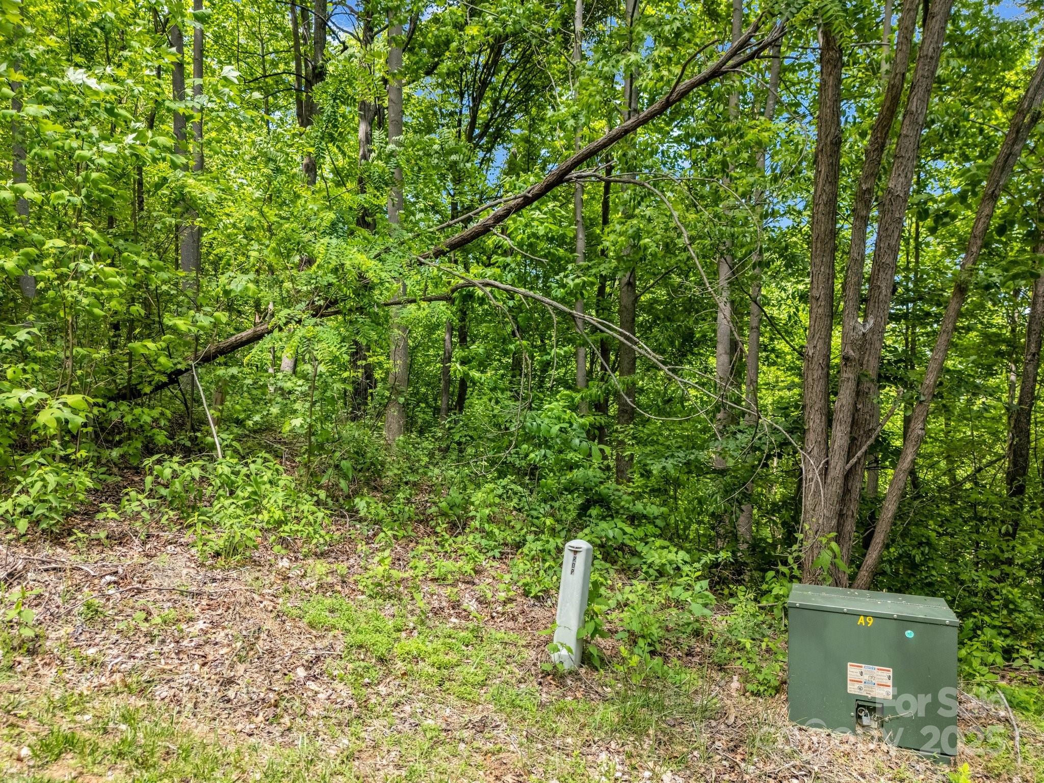 0 Ragans Pointe 31 Property Photo 5