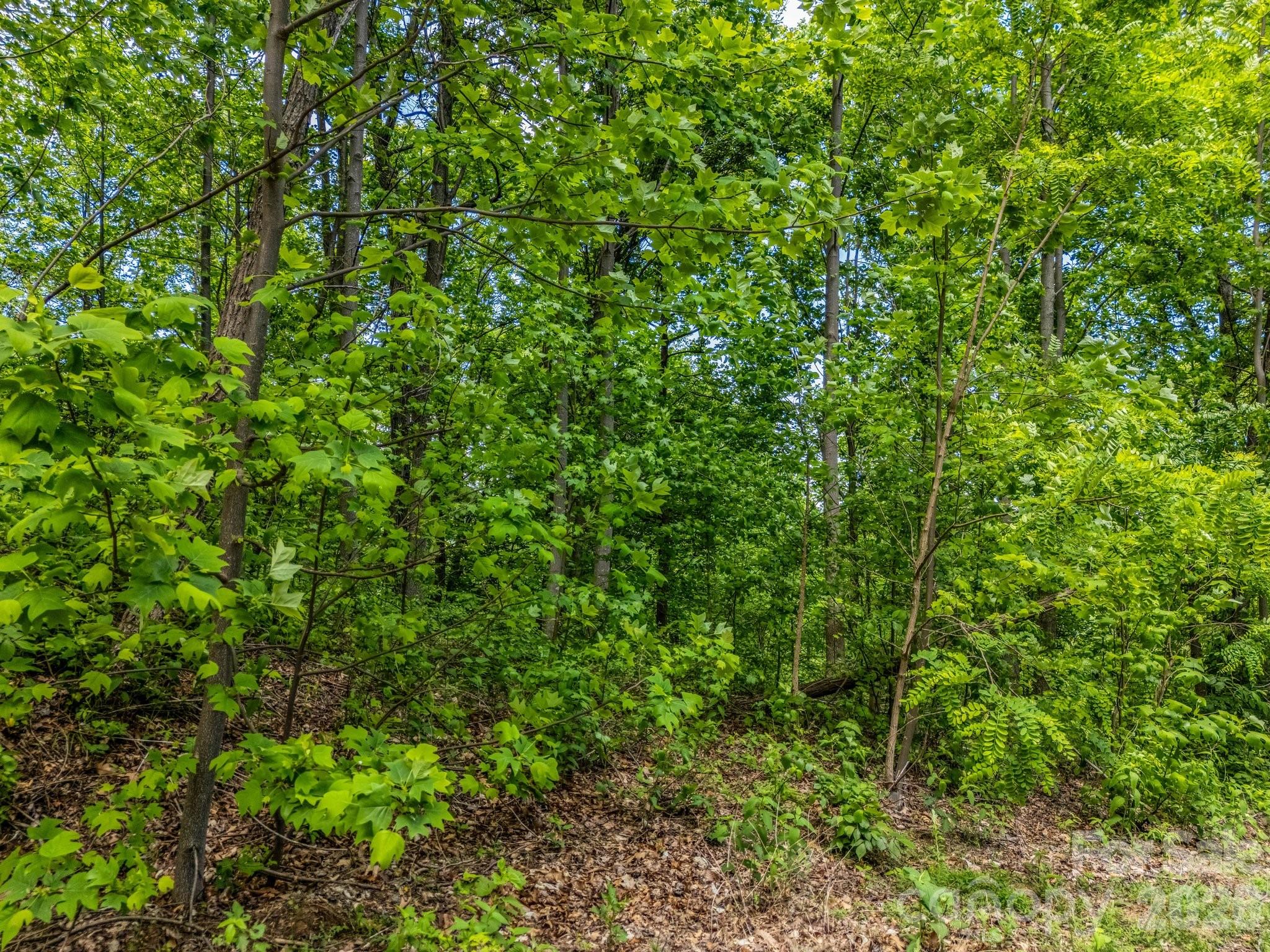 0 Ragans Pointe 31 Property Photo 5