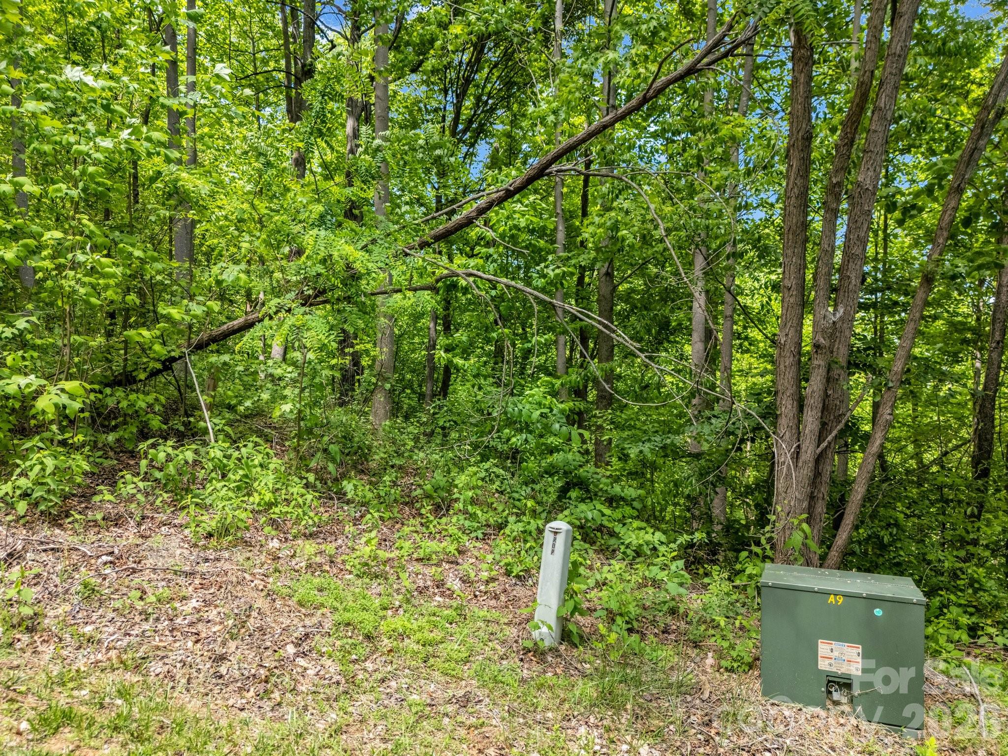 0 Ragans Pointe 31 Property Photo 6
