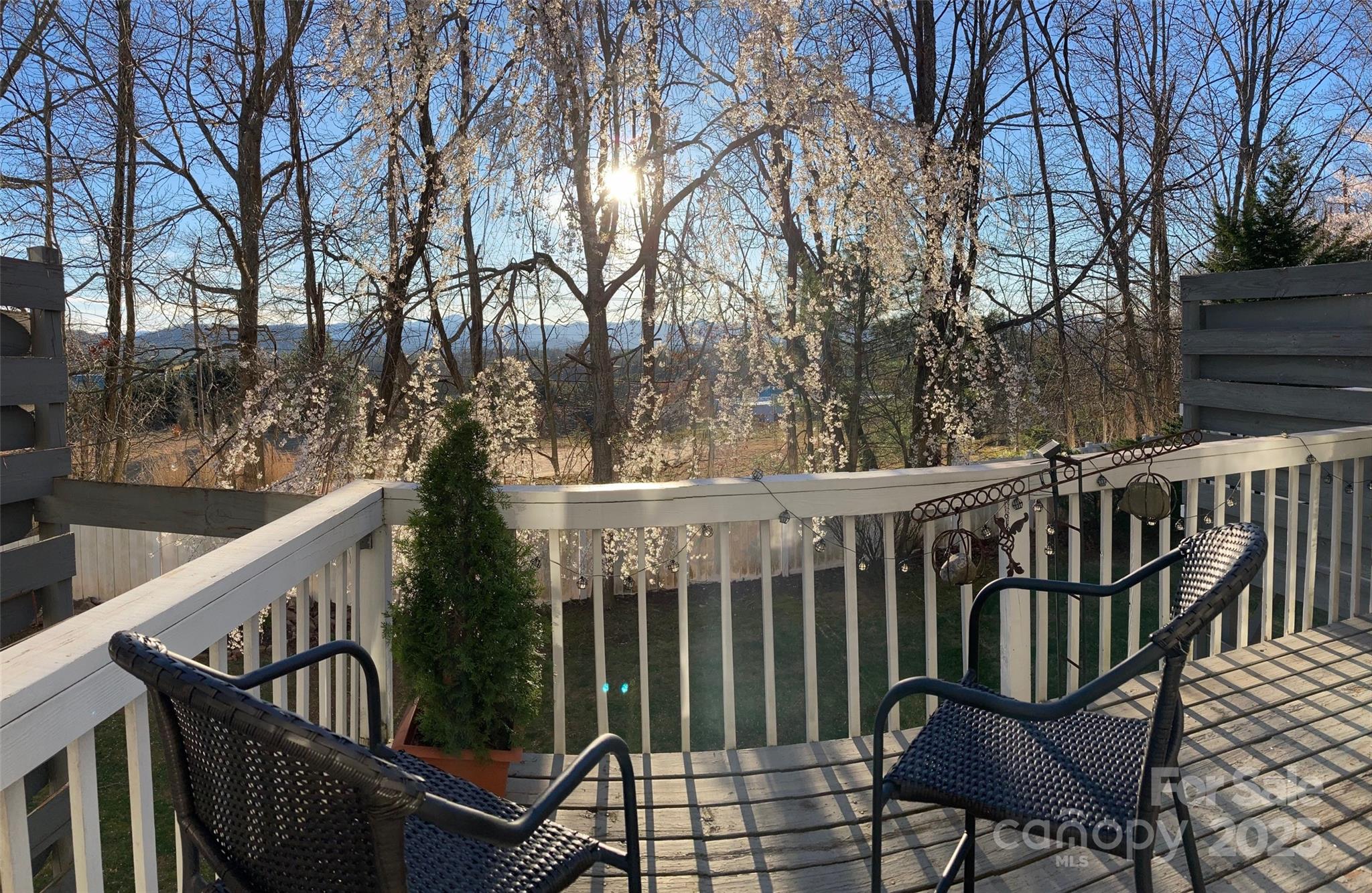 23 Hollybrook Drive Property Photo 24