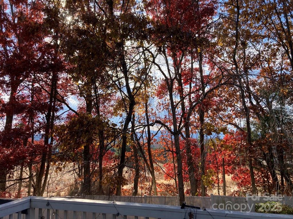 23 Hollybrook Drive Property Photo 25