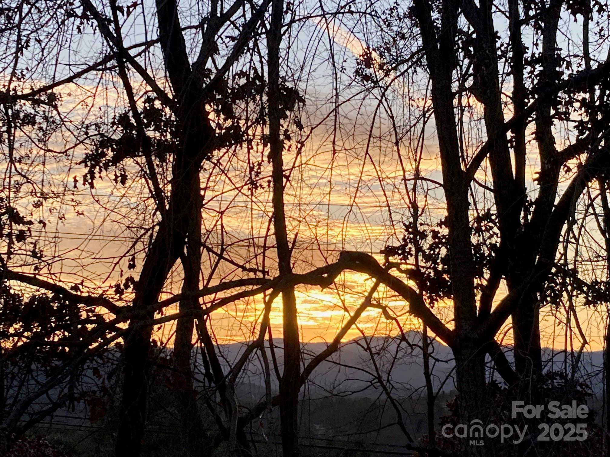 23 Hollybrook Drive Property Photo 27