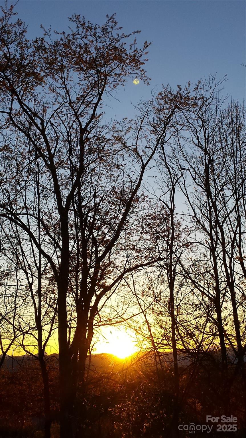 23 Hollybrook Drive Property Photo 28