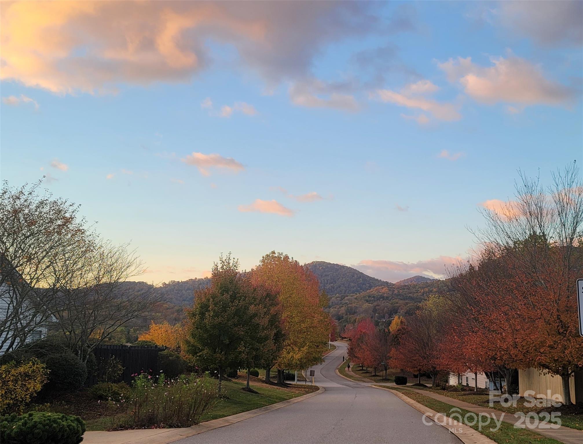 102 W Farm Creek Drive Property Photo 4