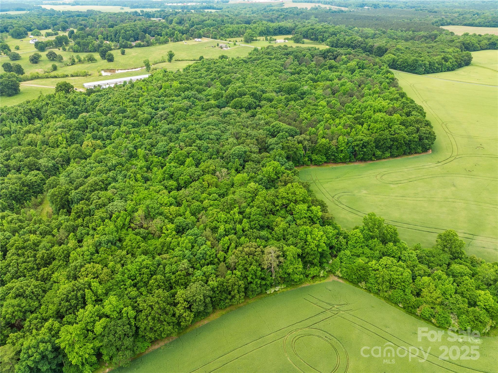 18ac Wm Griffin Road Property Photo 2
