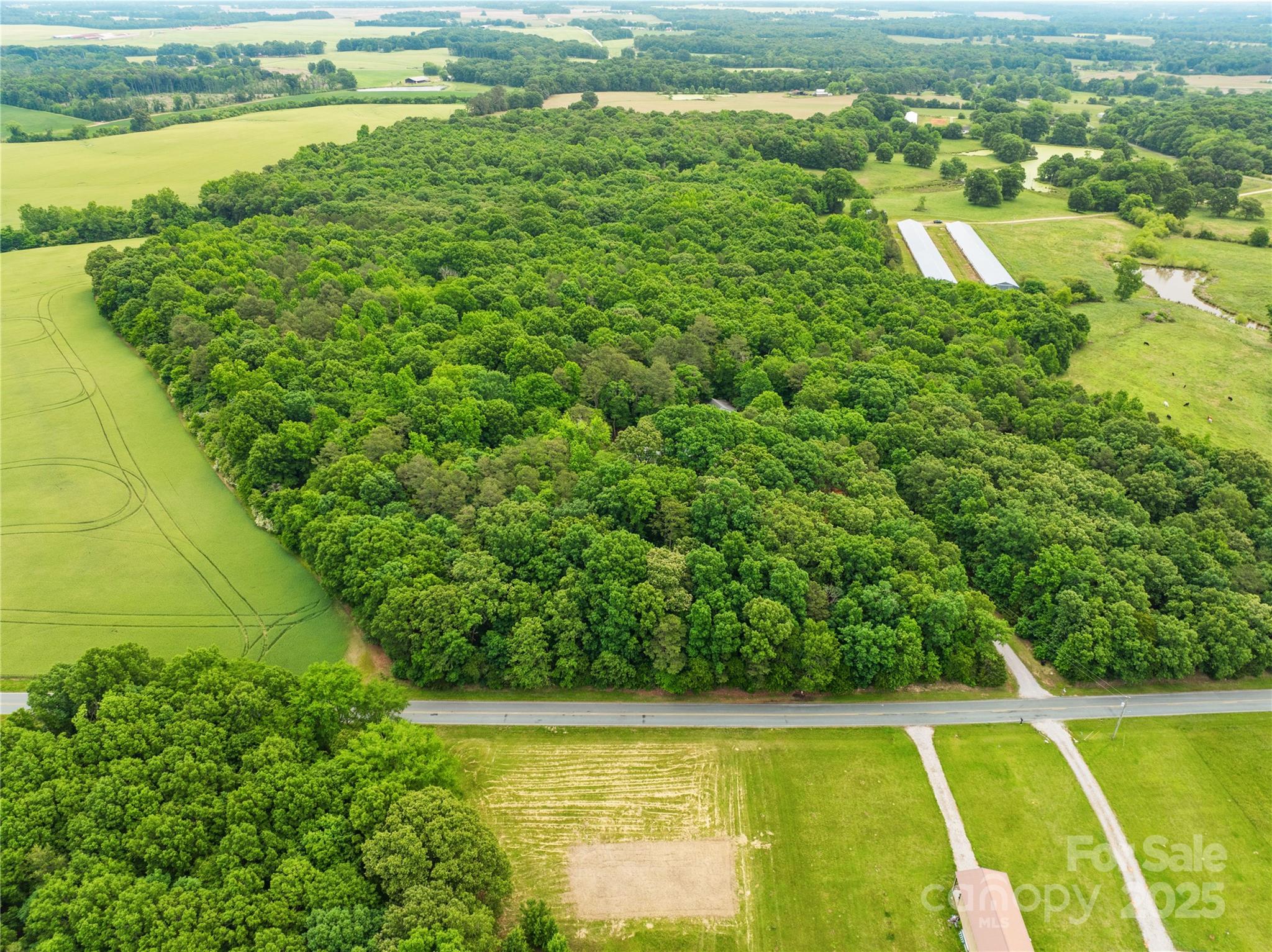 18ac Wm Griffin Road Property Photo 3