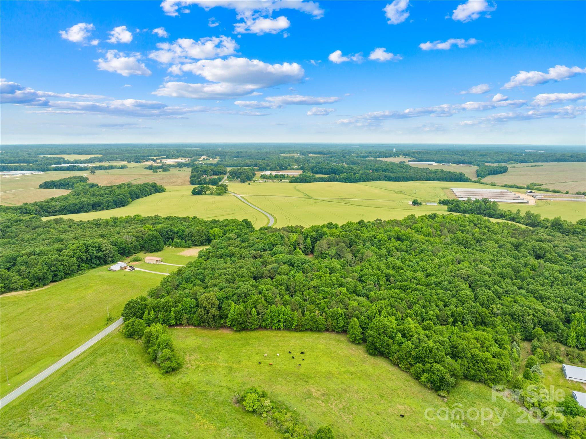 18ac Wm Griffin Road Property Photo 5
