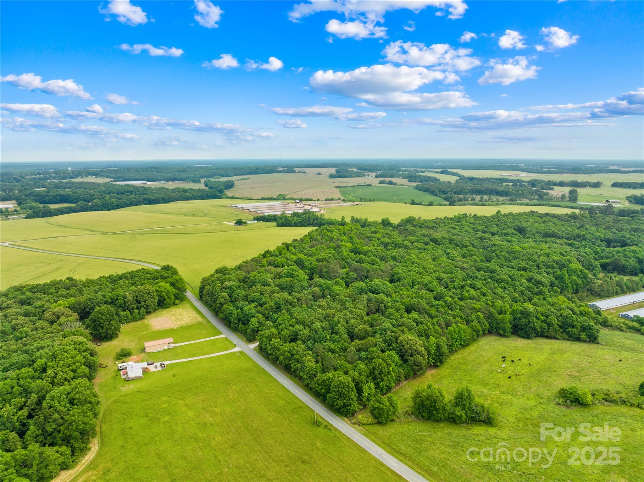 18ac Wm Griffin Road Property Photo 6