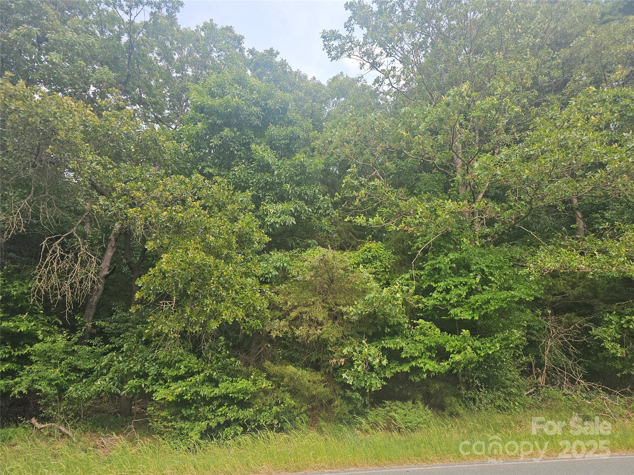 18ac Wm Griffin Road Property Photo 7