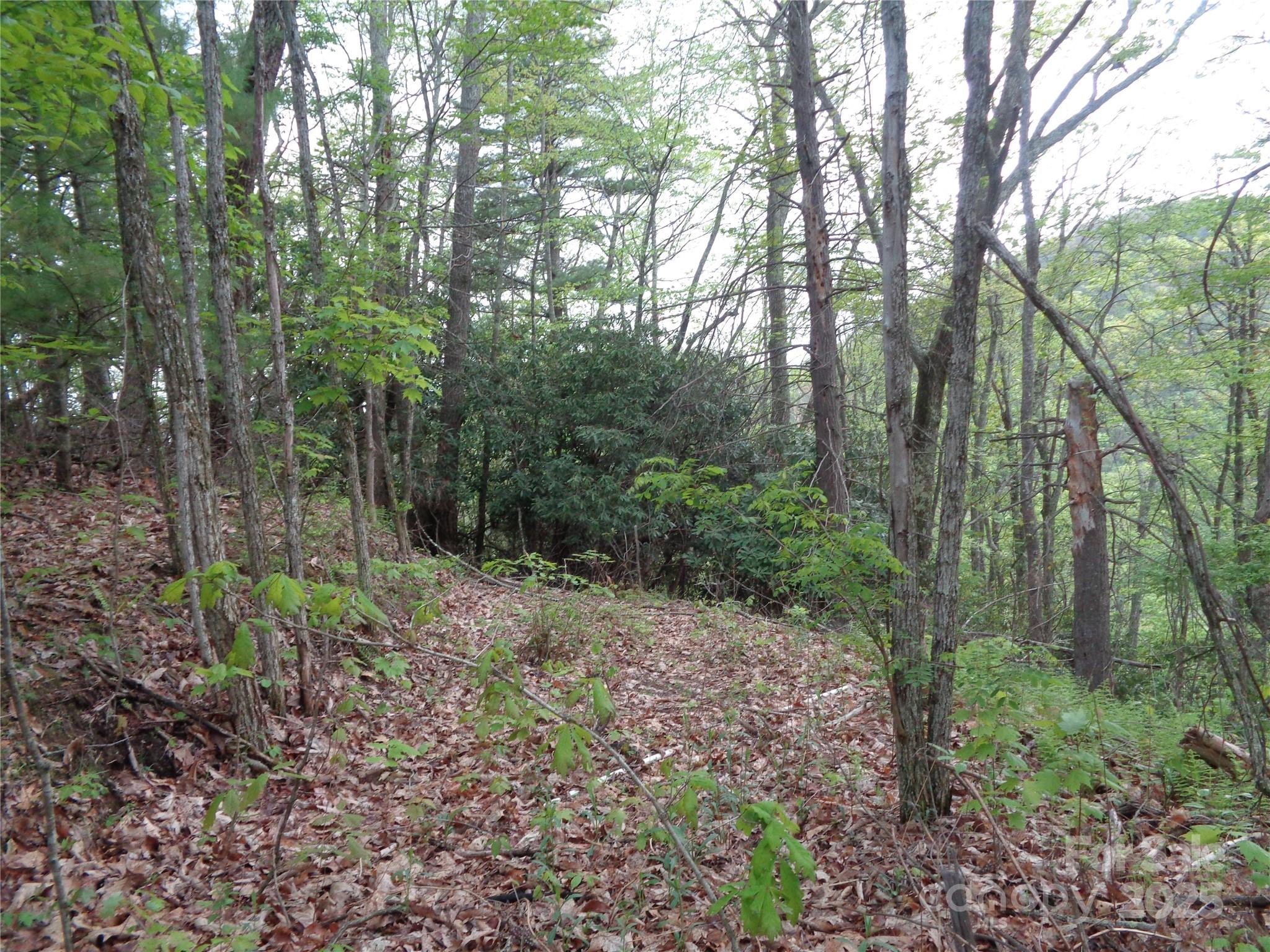 00 Promiseland Road Property Photo 1