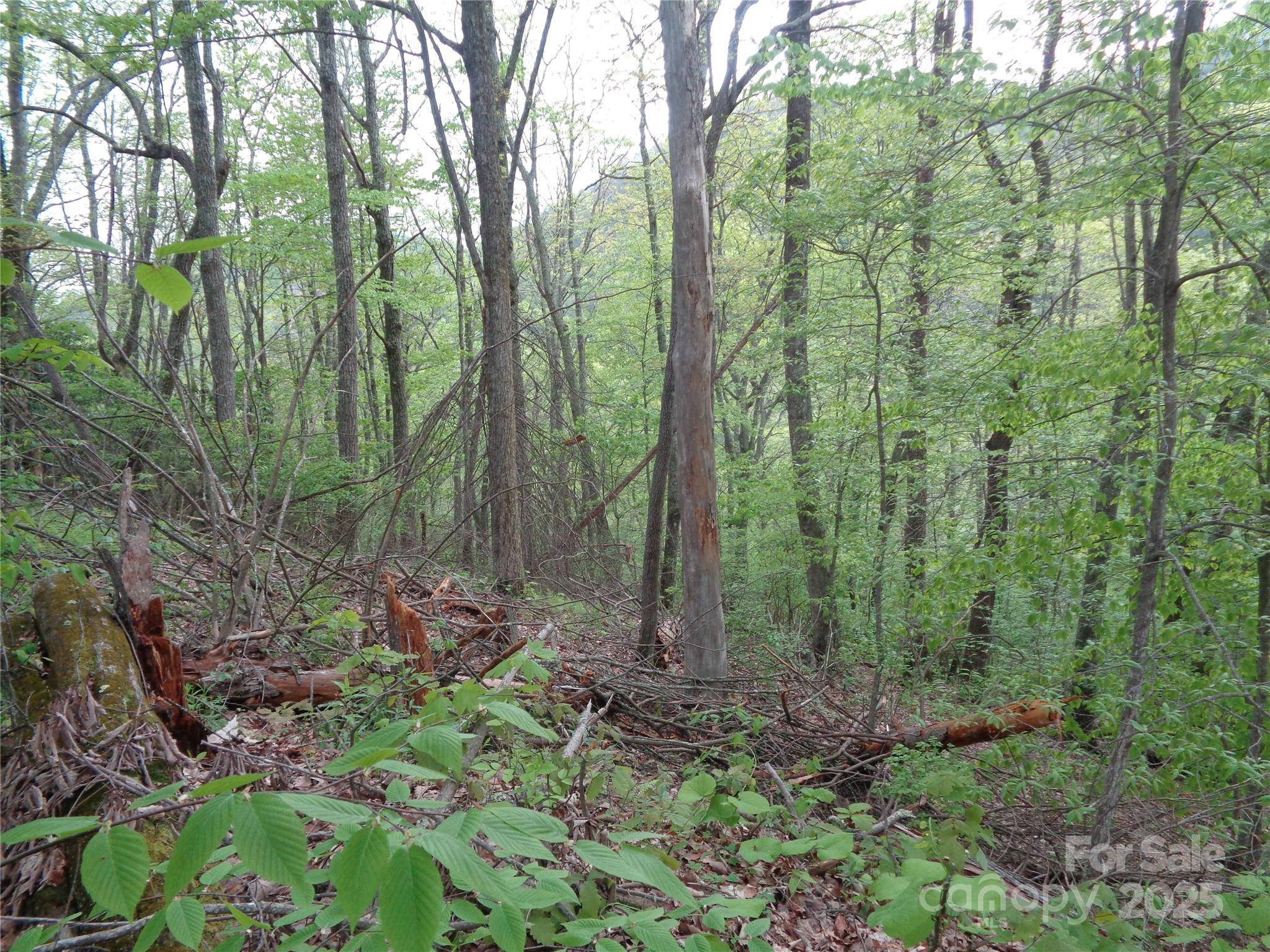 00 Promiseland Road Property Photo 2