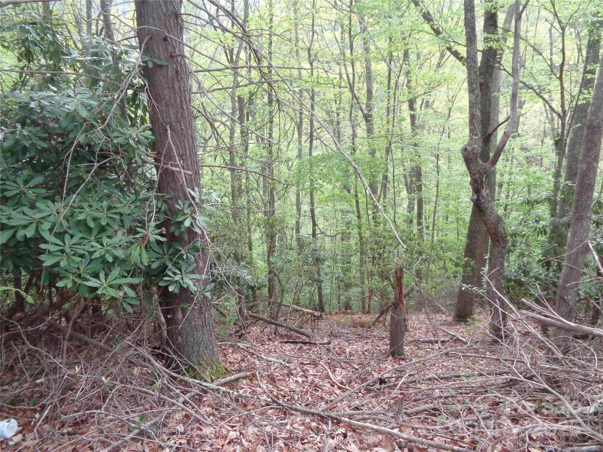 00 Promiseland Road Property Photo 3