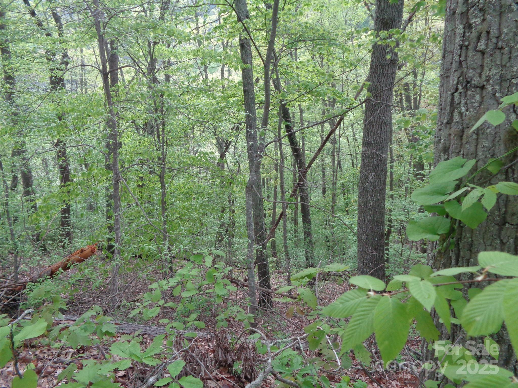 00 Promiseland Road Property Photo 4